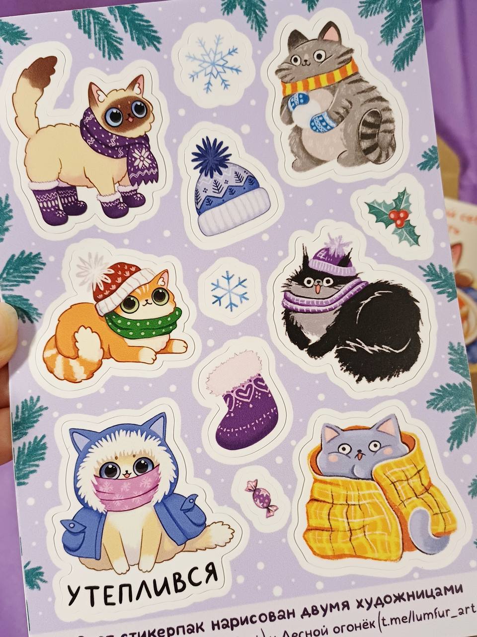 стикерпак а6 "зимние котики"
