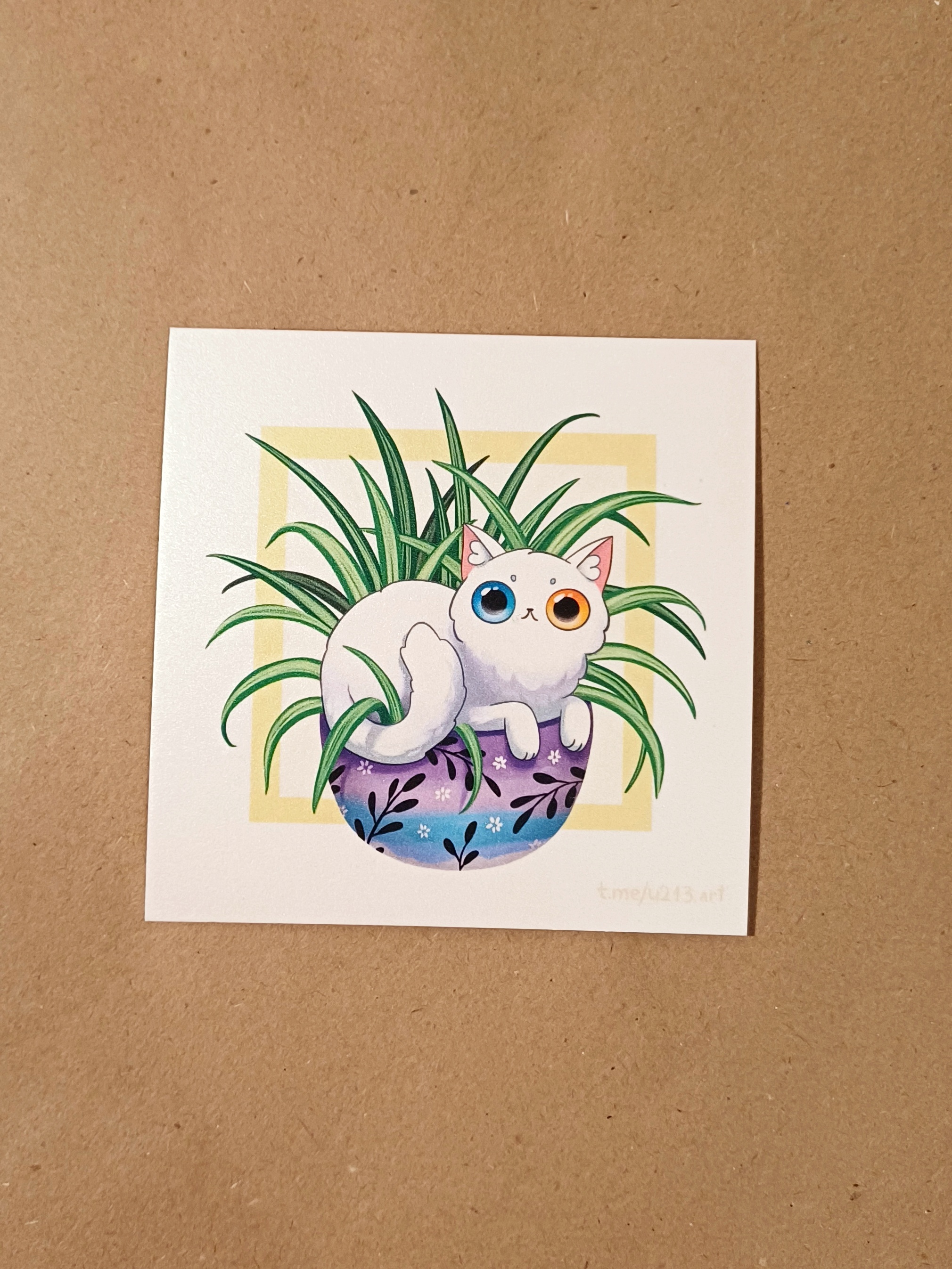 Принт "котик белый"