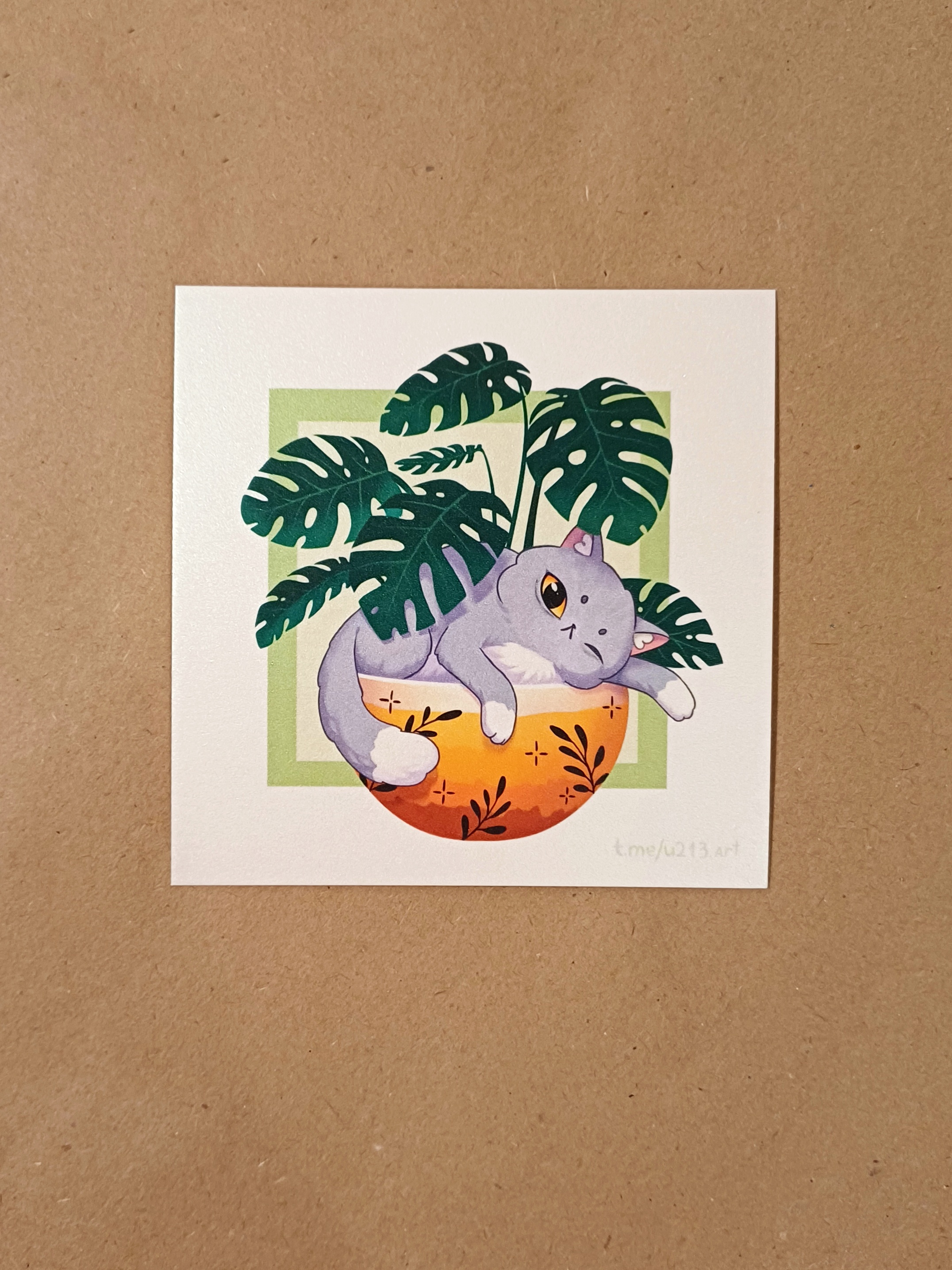 Принт "котик серый"