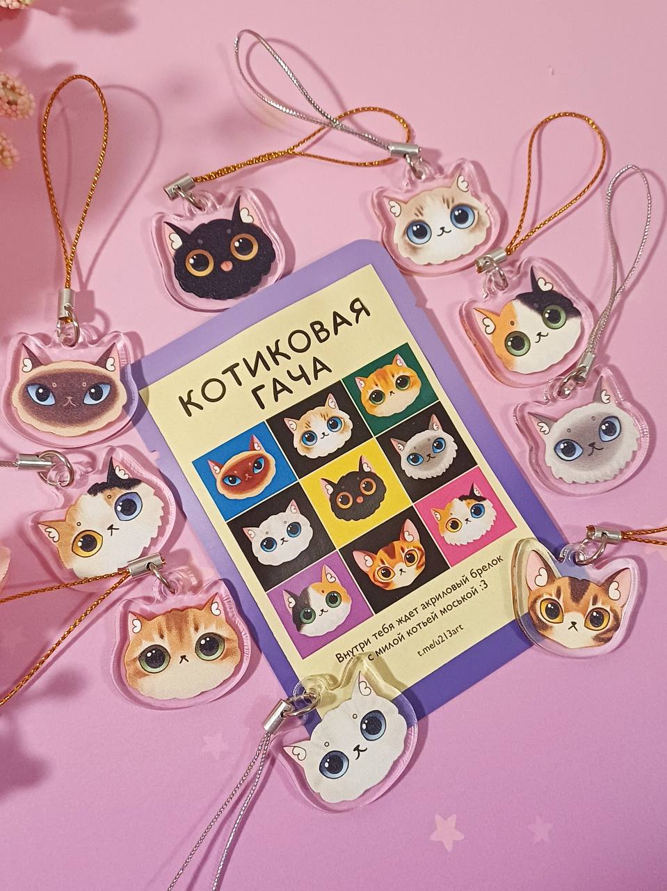 Гача котиковая