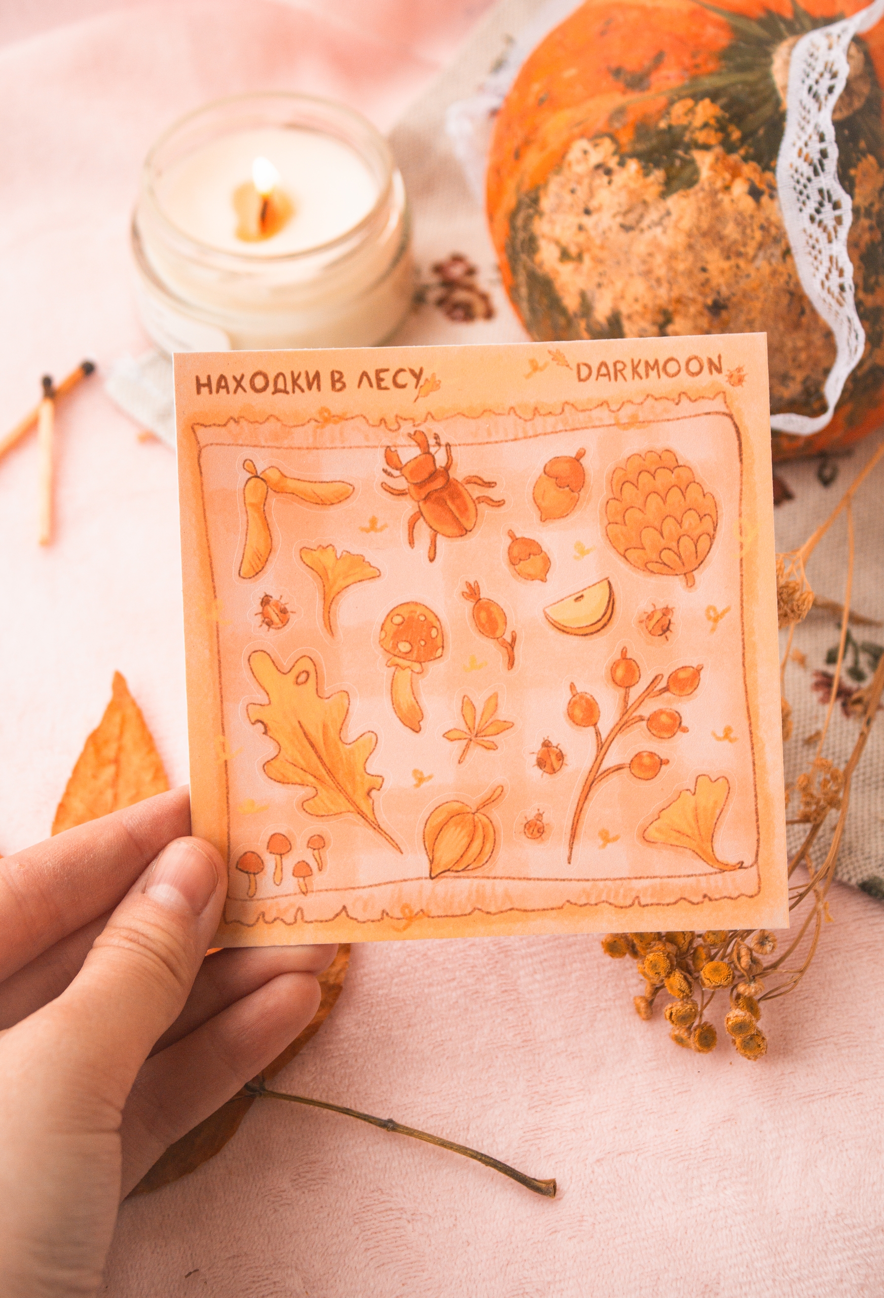 Стикерпак «находки в лесу»