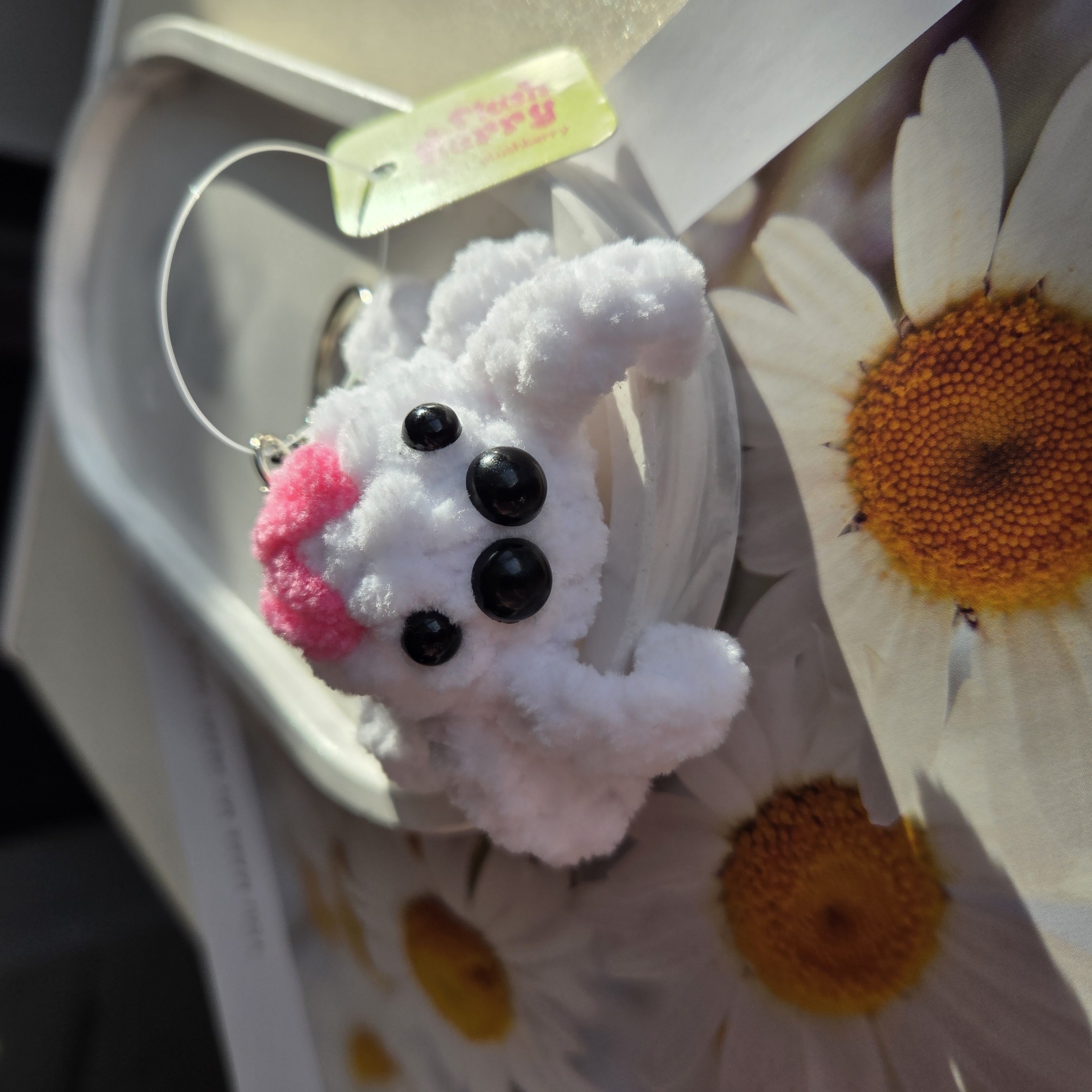 Паук сердце