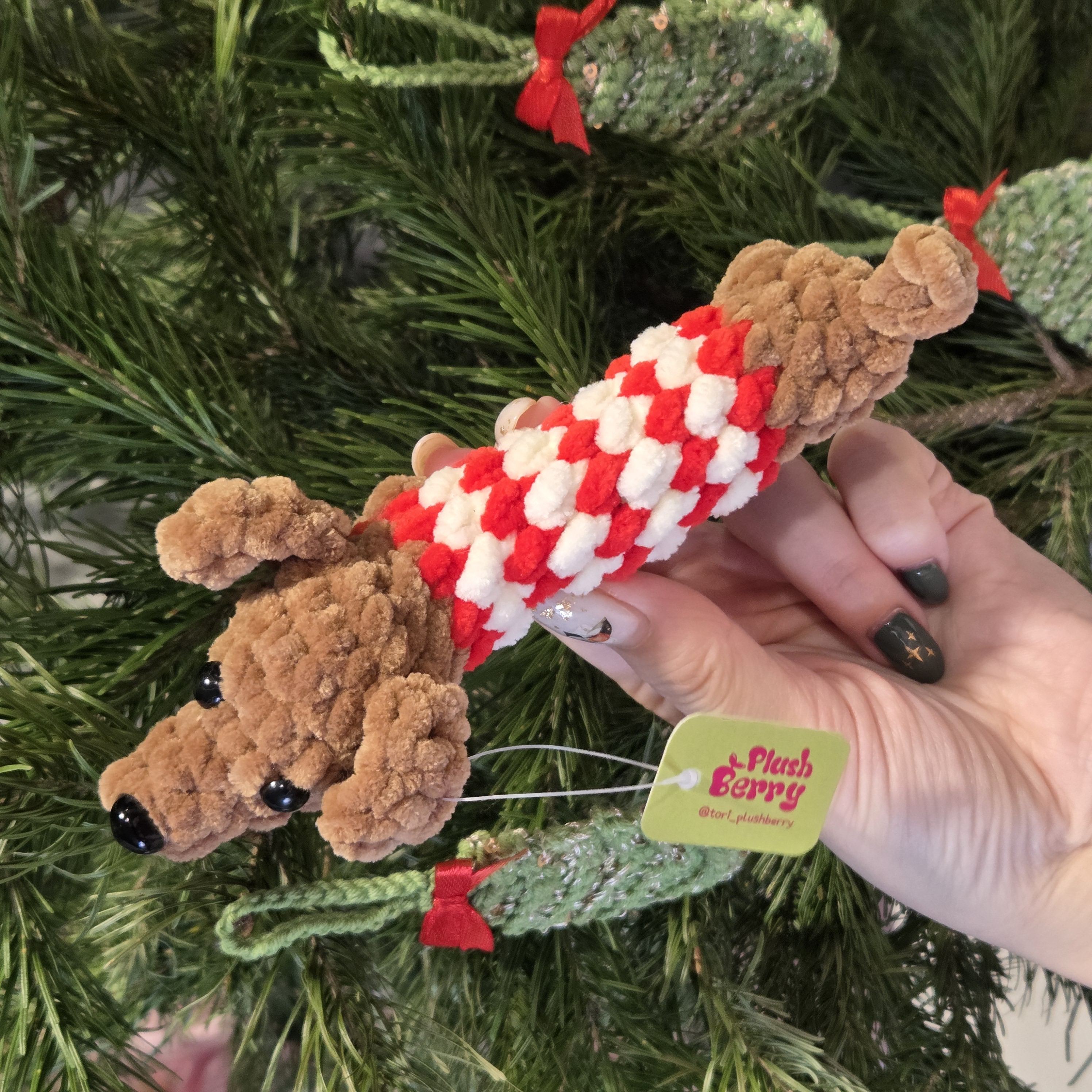 Такса в свитере