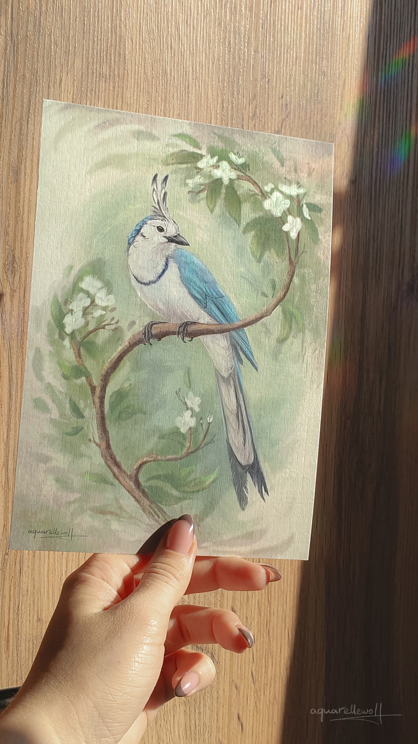 Принт А5 “Сорочья сойка”