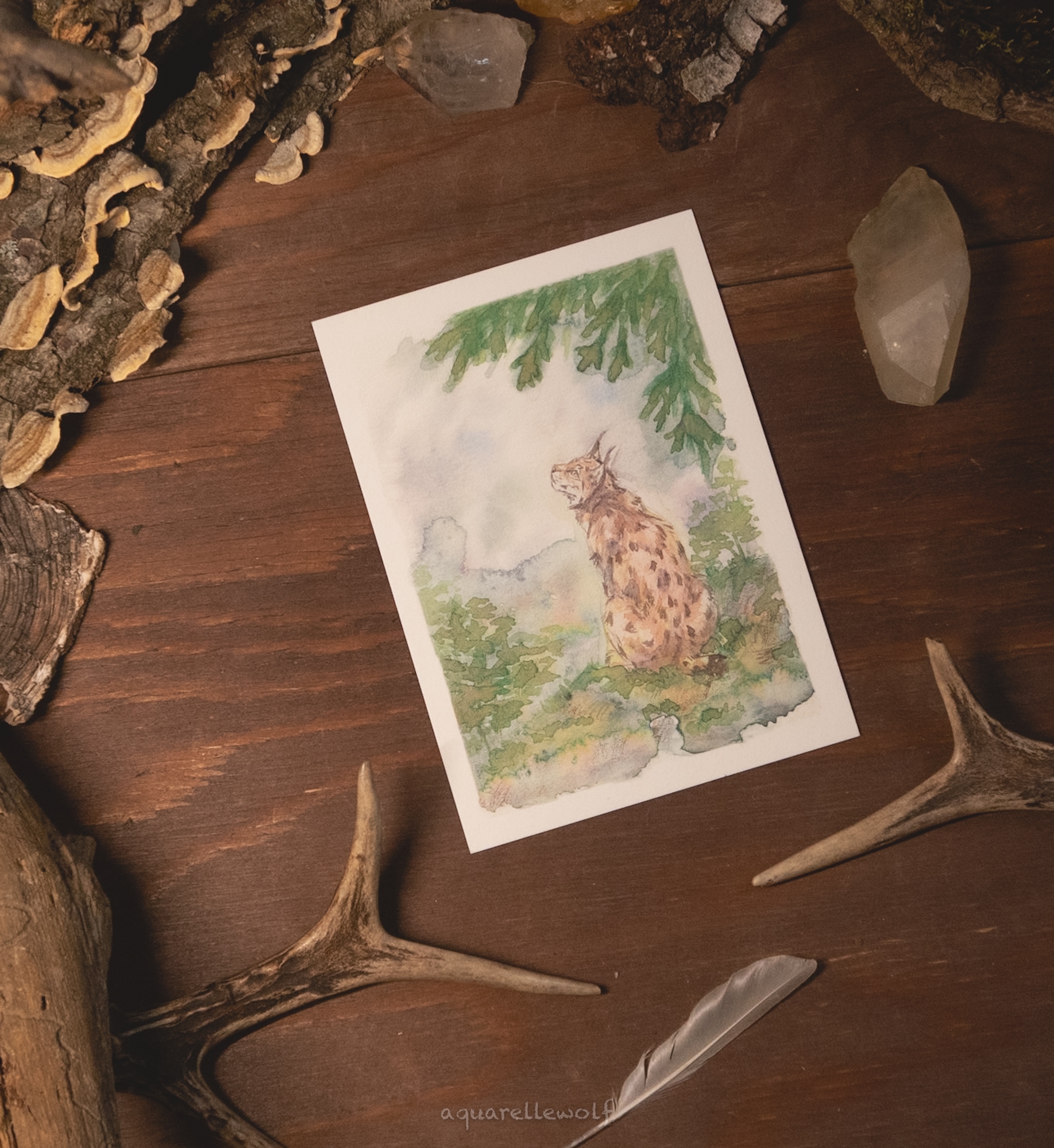 Открытка “Рысь под елью” А6