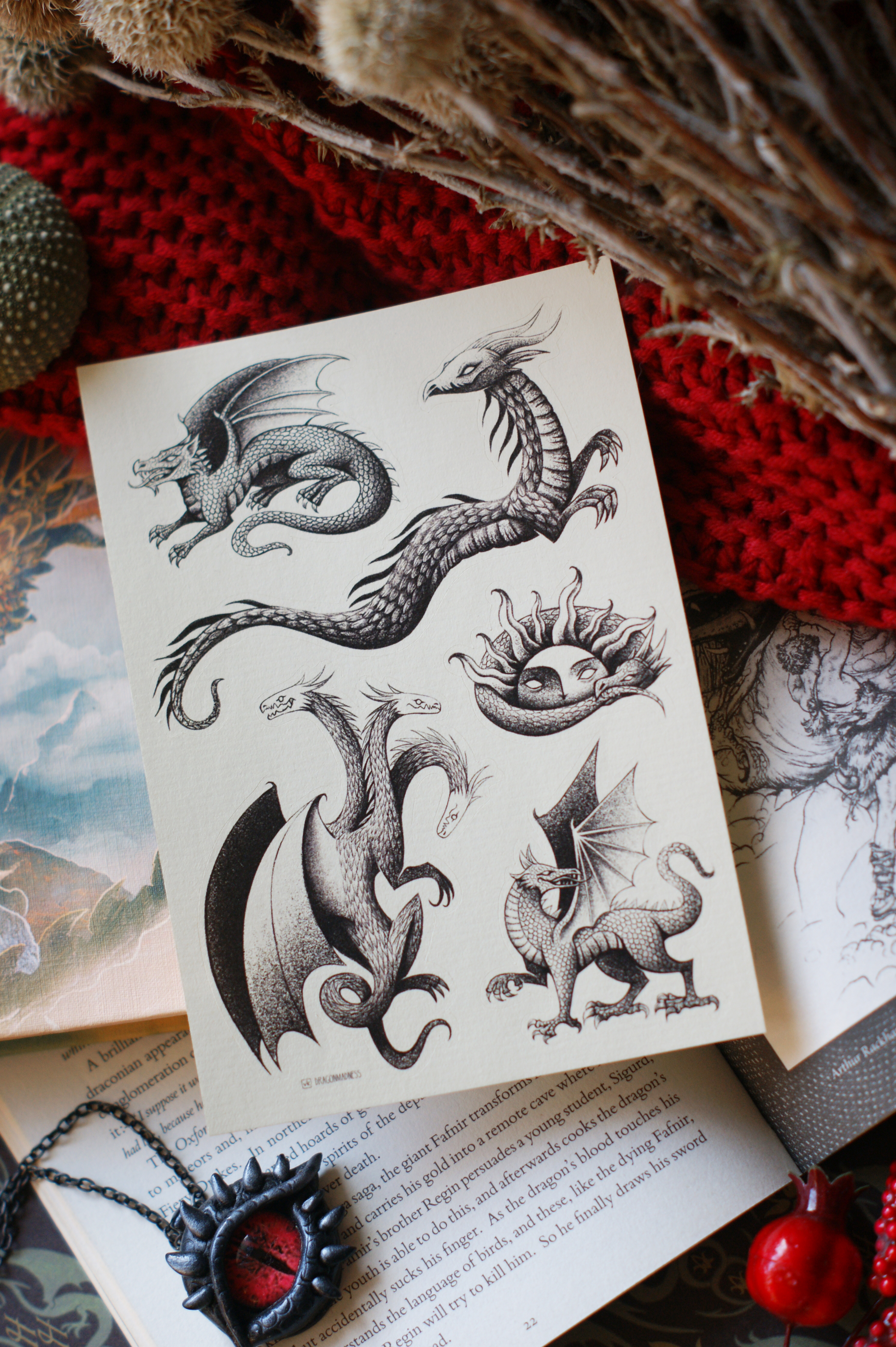 ст-к А6 Драконы чб