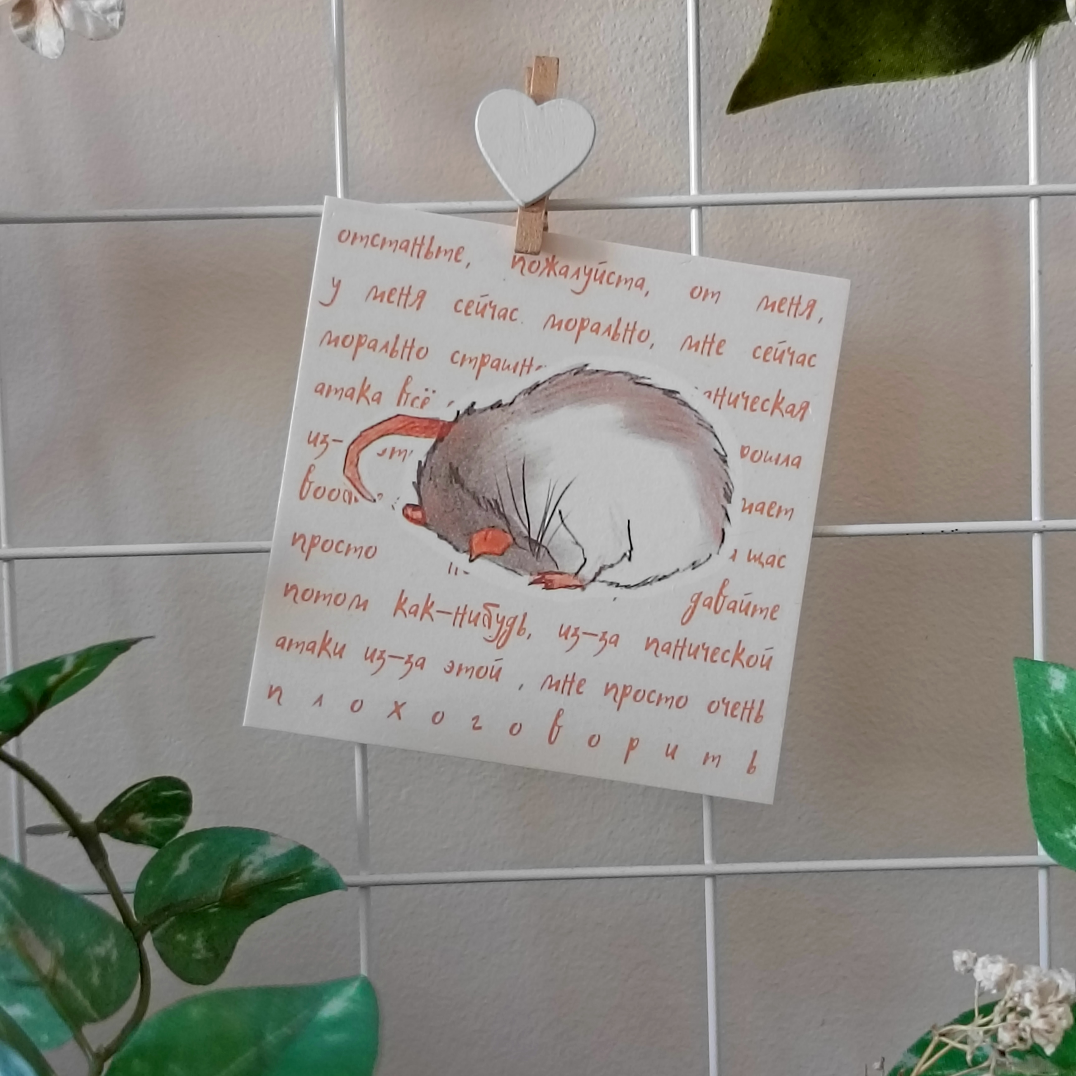 Открытка крыса