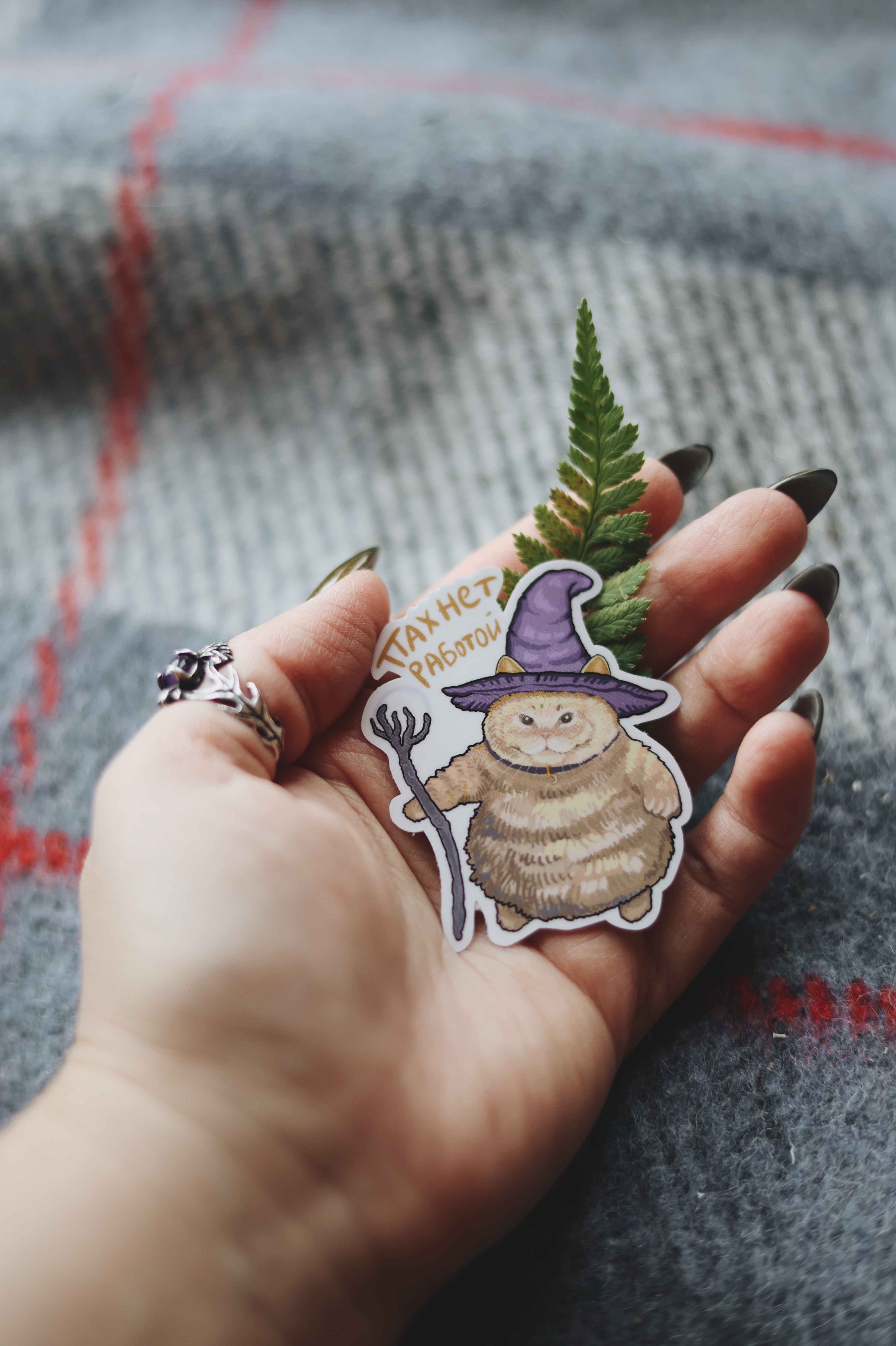 Наклейка "кот"