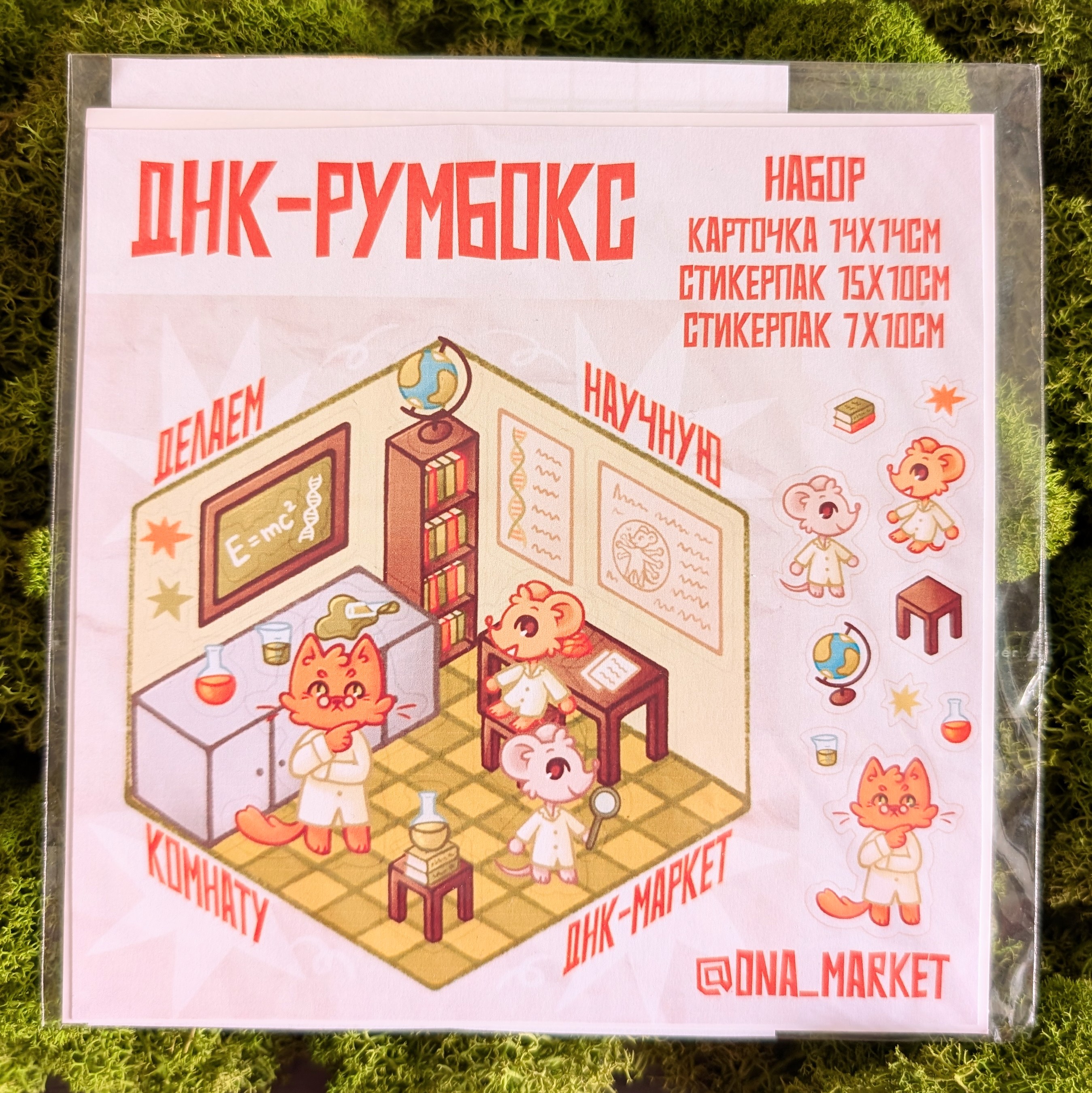 ДНК-румбокс