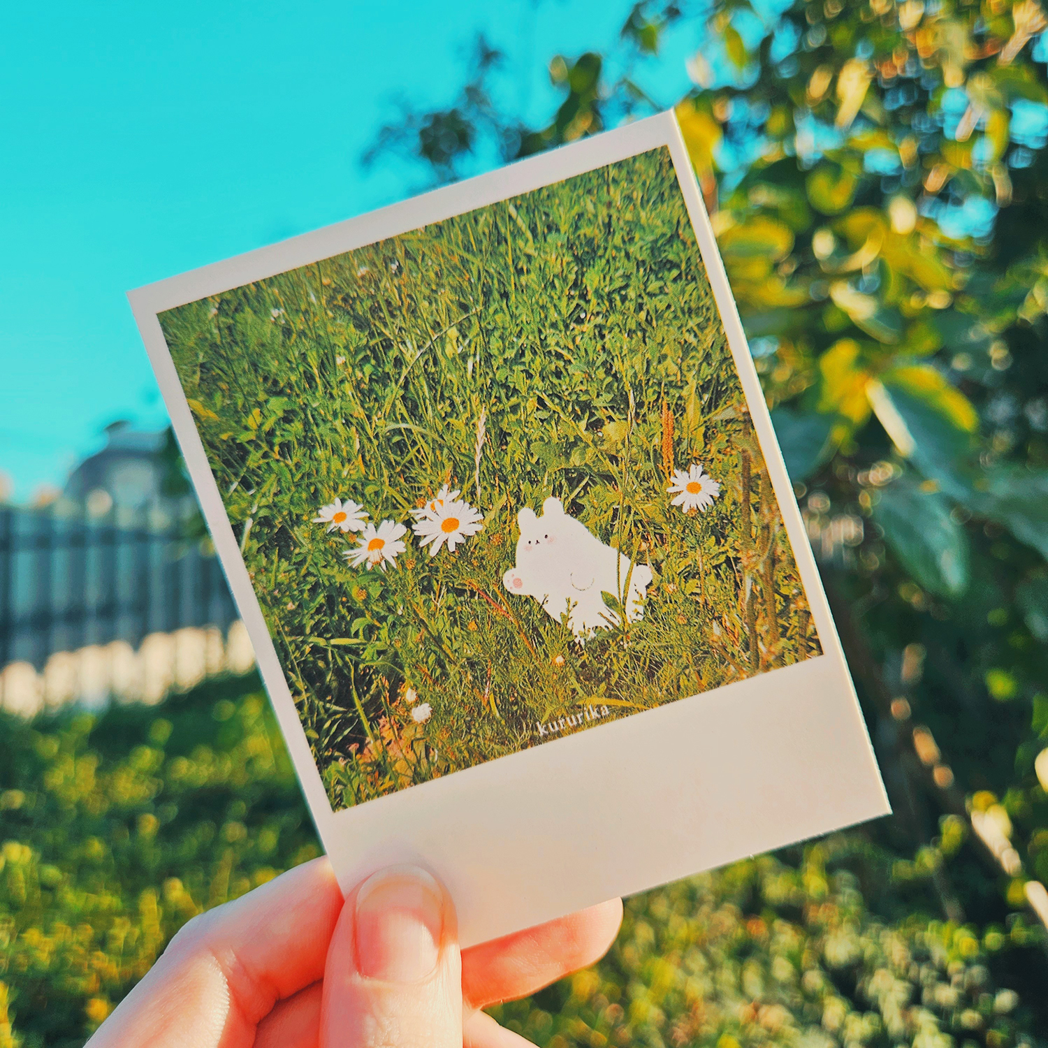 Открытка Polaroid трава