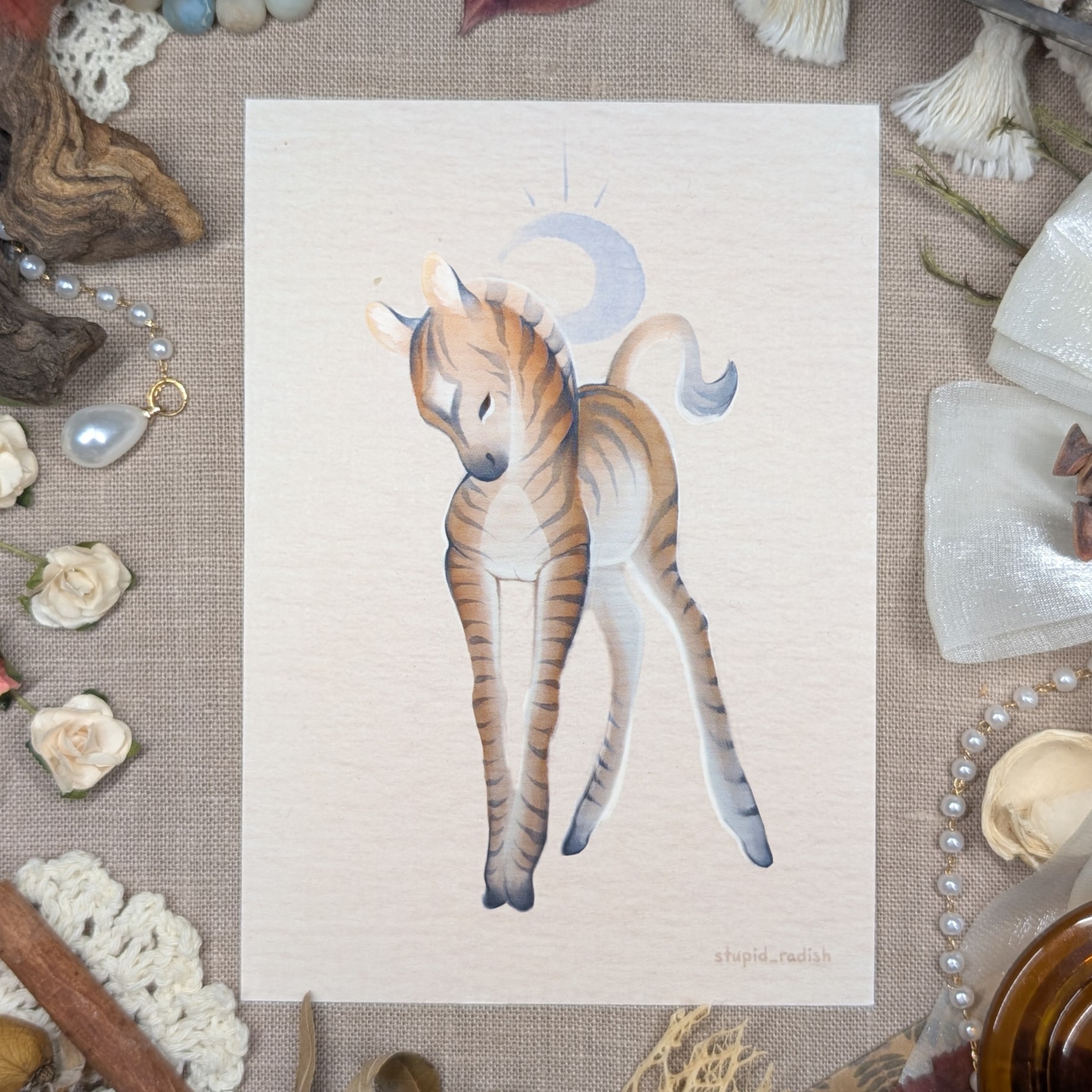 Открытка "Зебра"