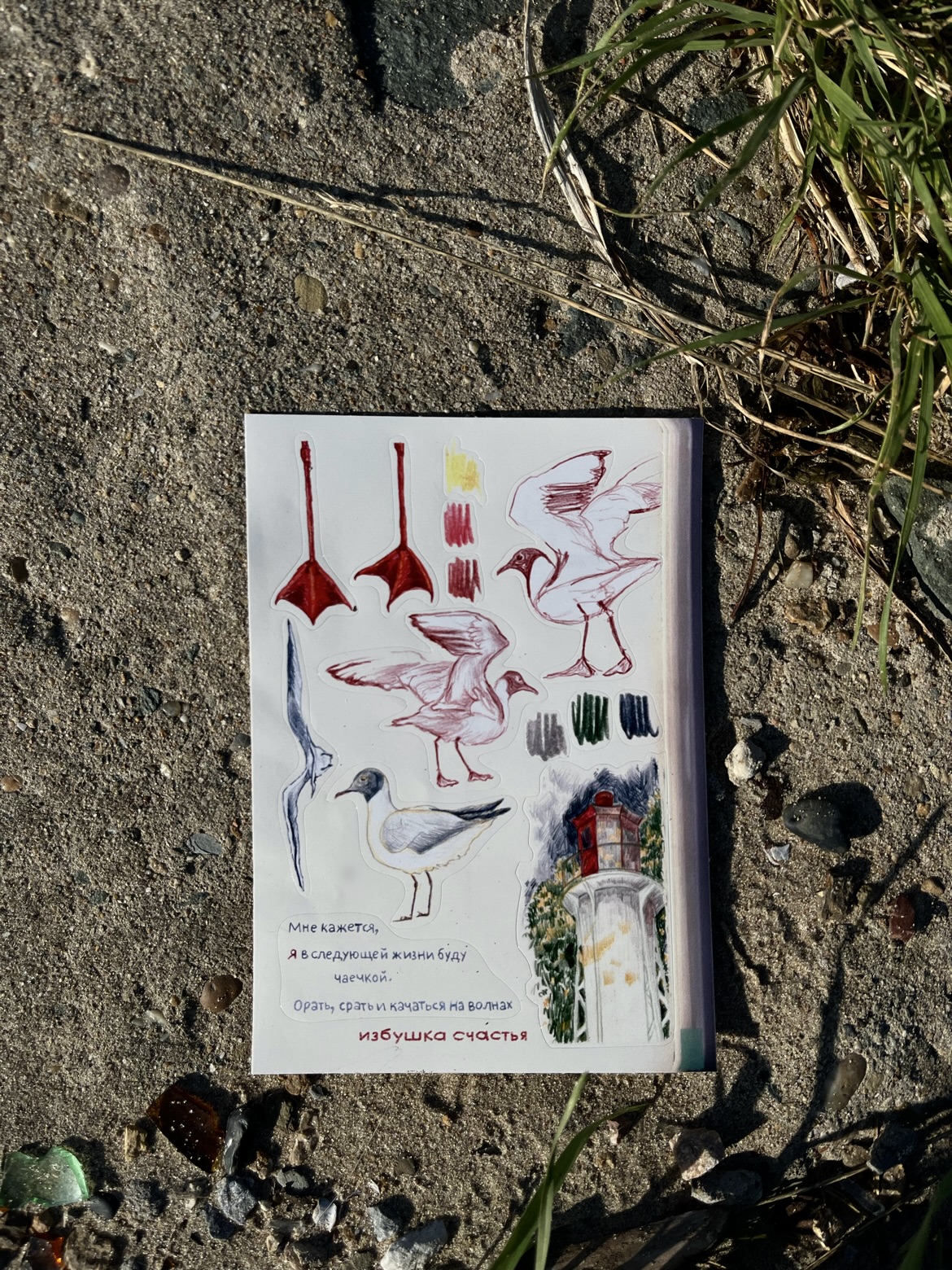 Стикерпак А6 чайки