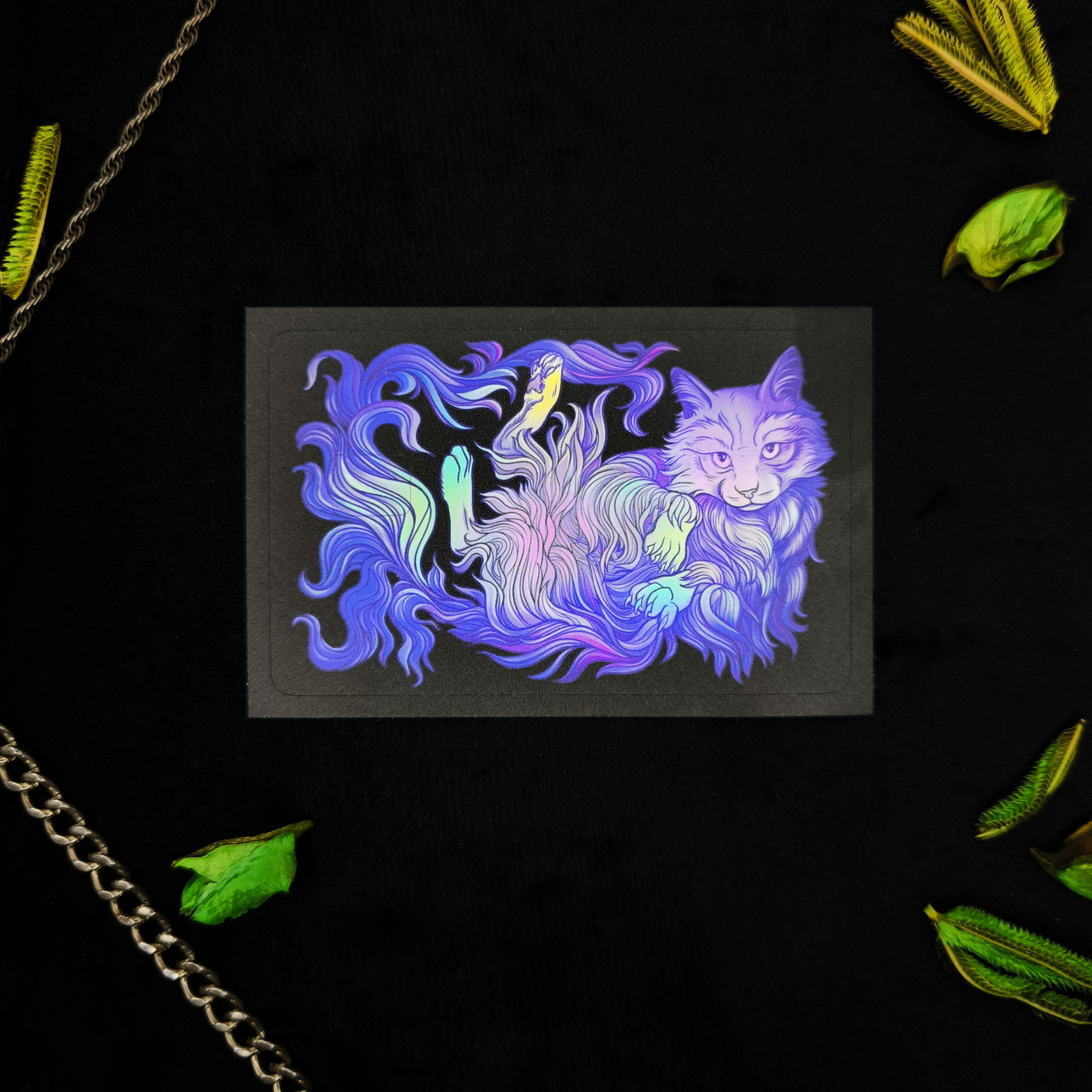 Наклейка на карту Котик