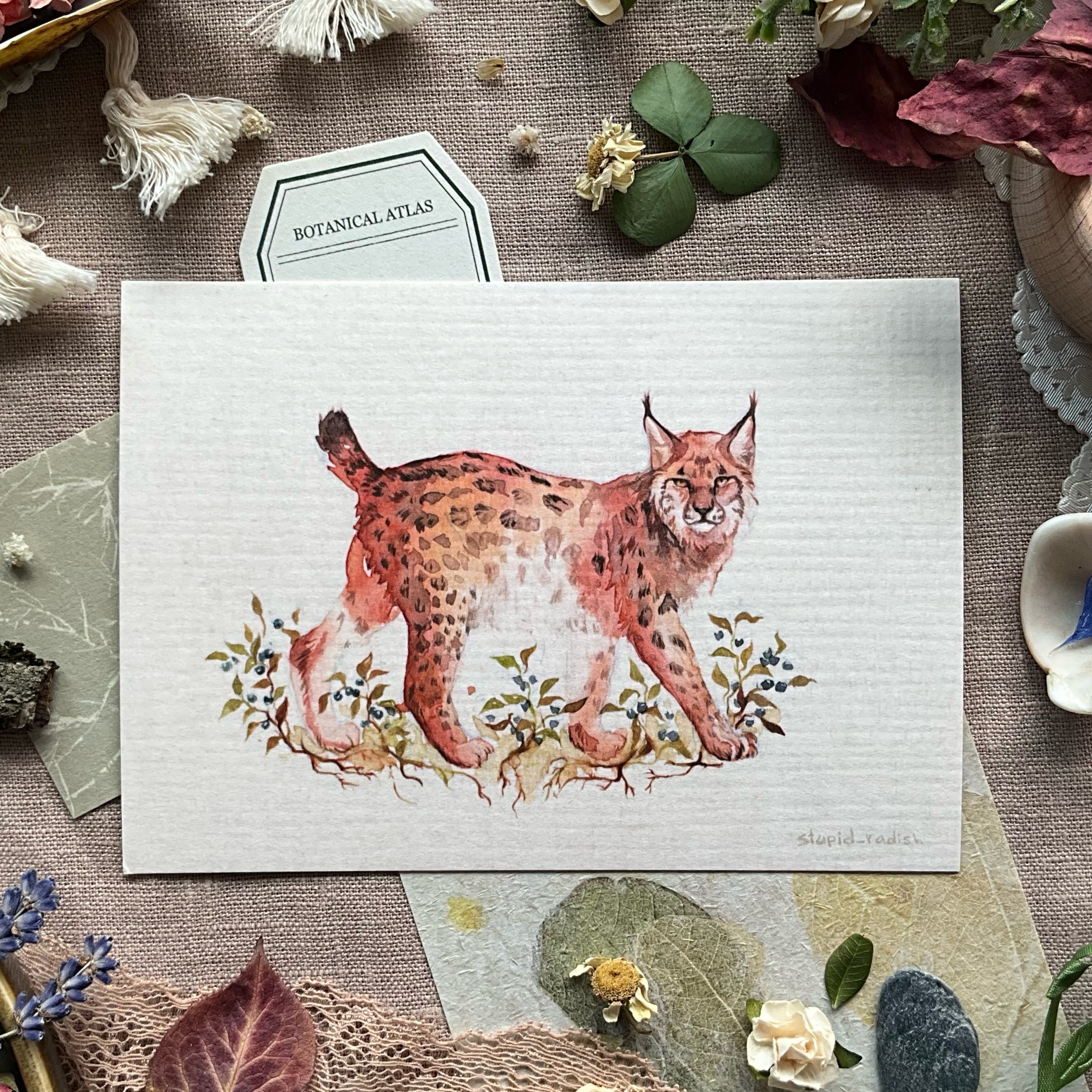 Открытка "Рысь"