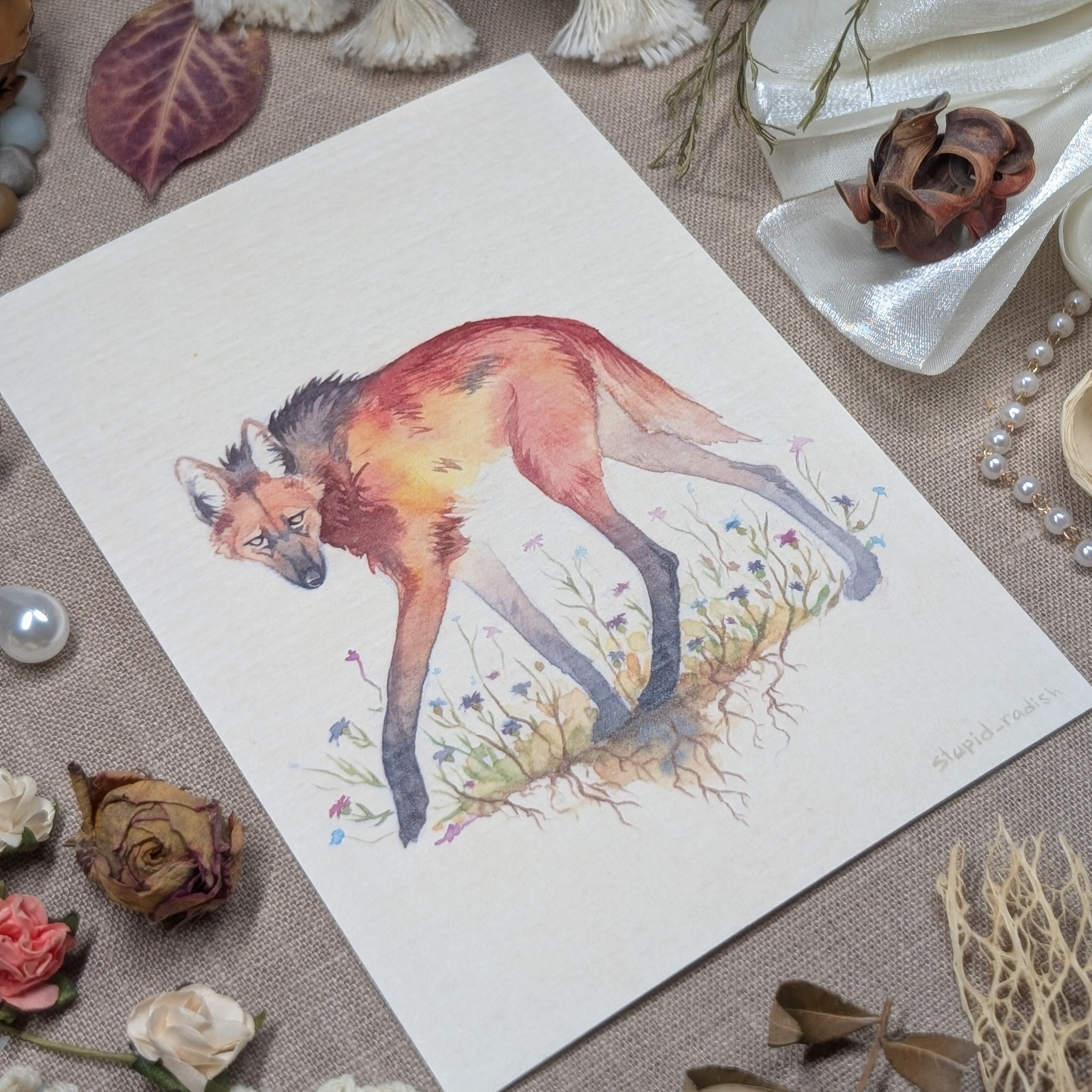 Открытка "Грив. Волк"