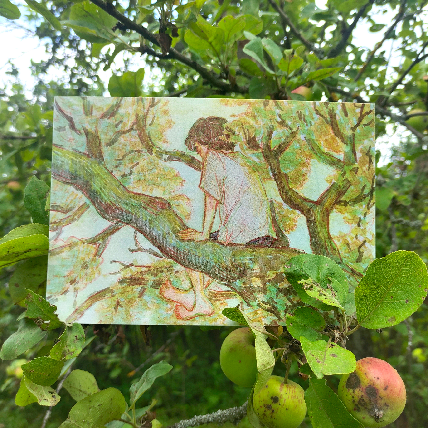 Открытка Ветви А5