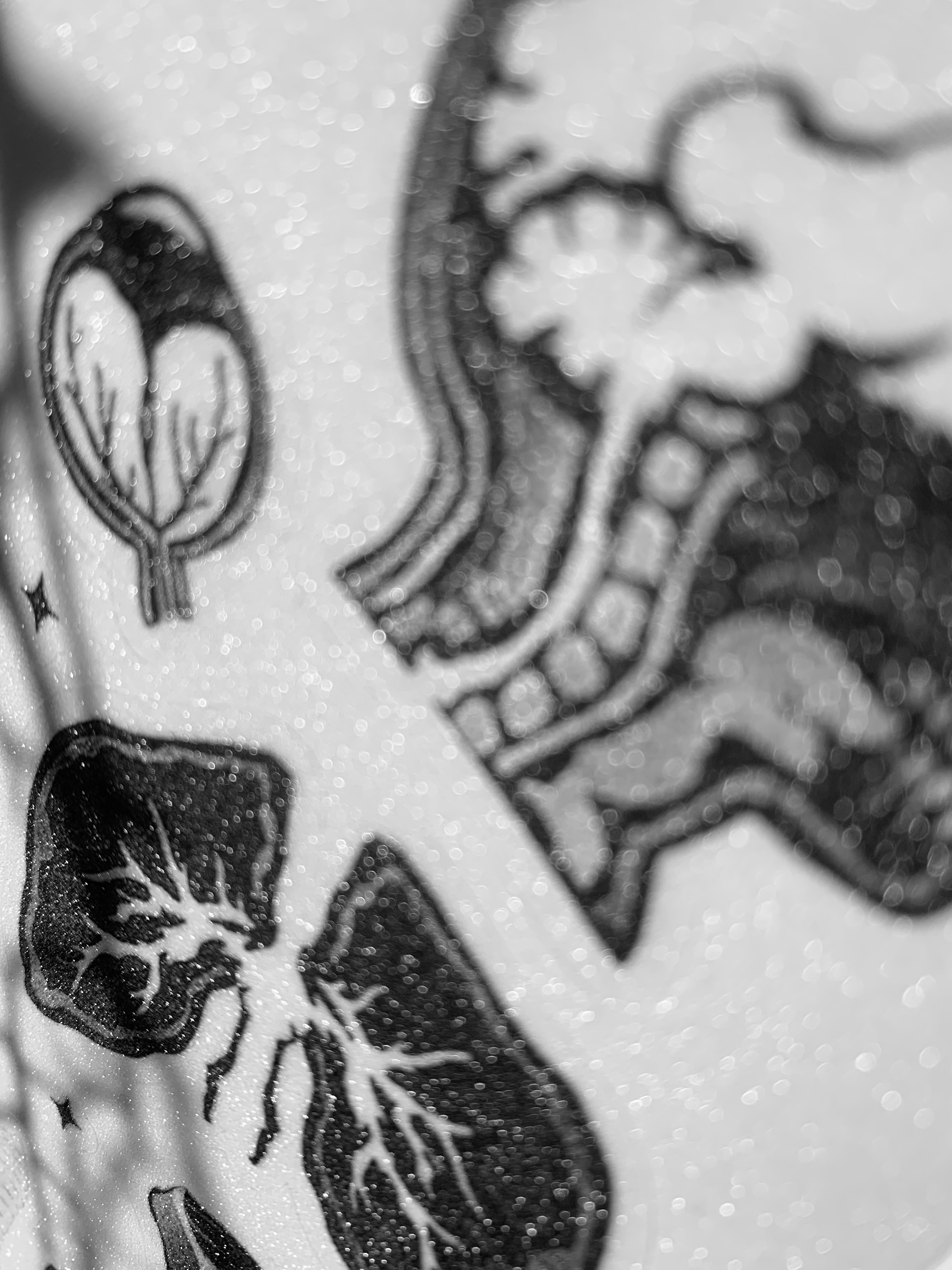 наклейки А6 анатомия