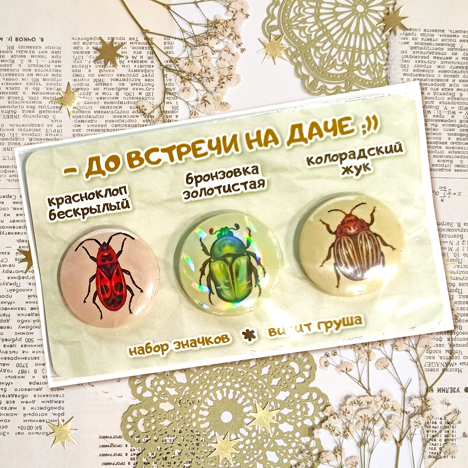 Набор значков "Жуки"