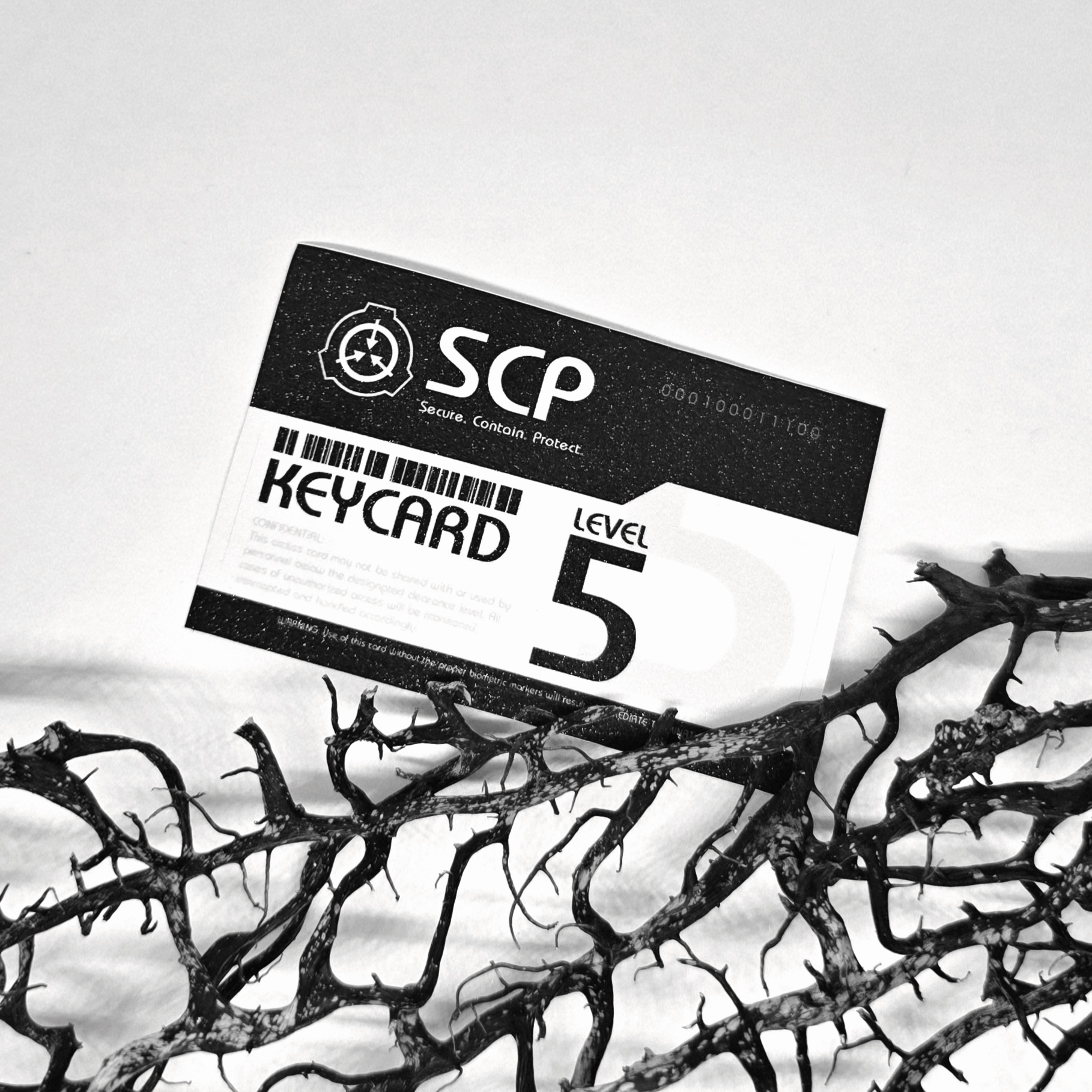 Наклейка на карту SCP