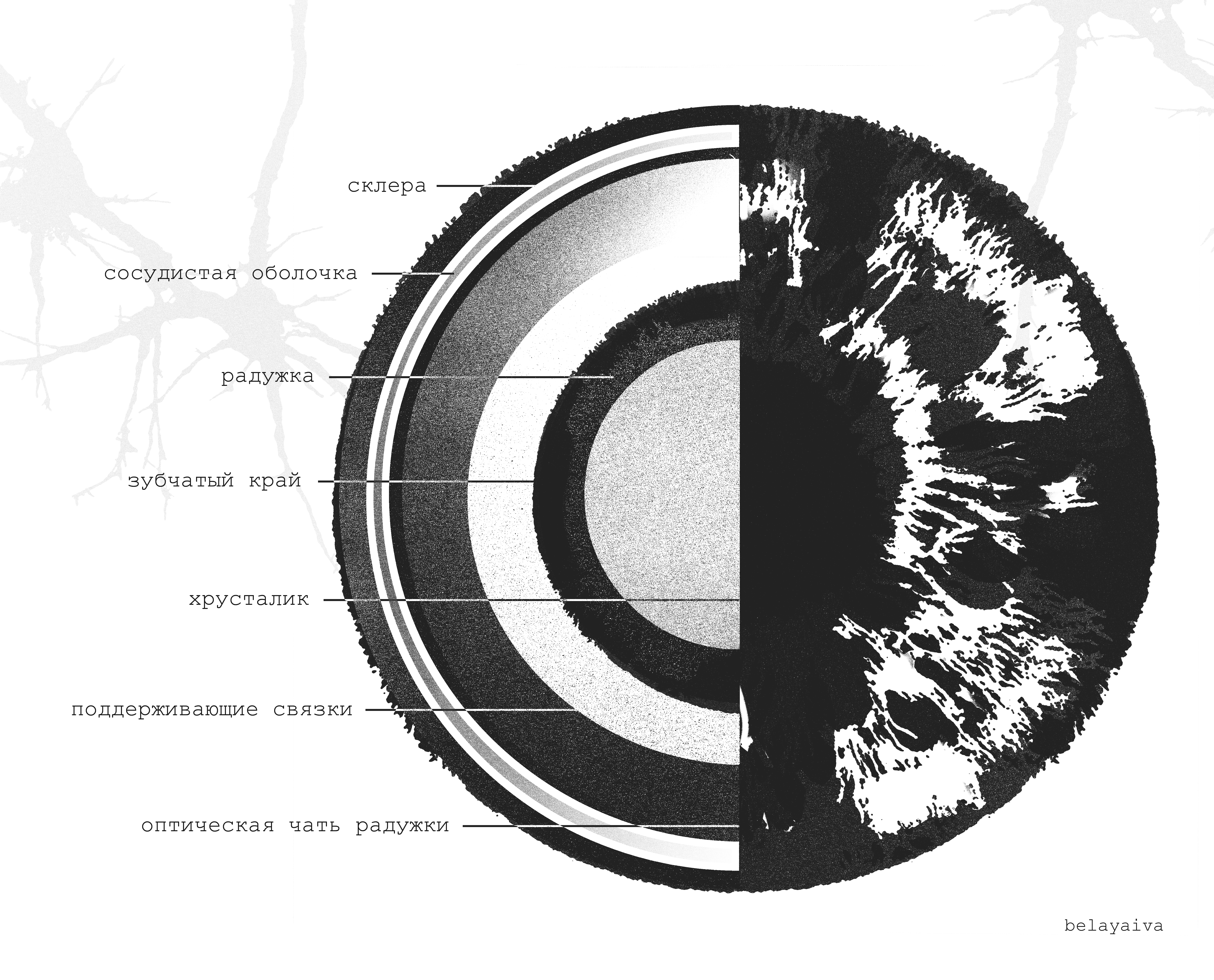 Плакат А4 глаз