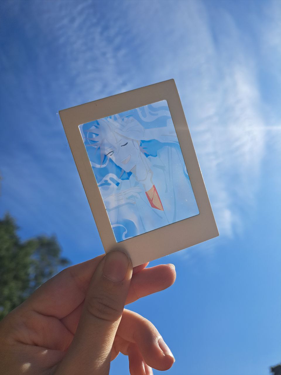 Тилл карточка-полароид АЛНСТ