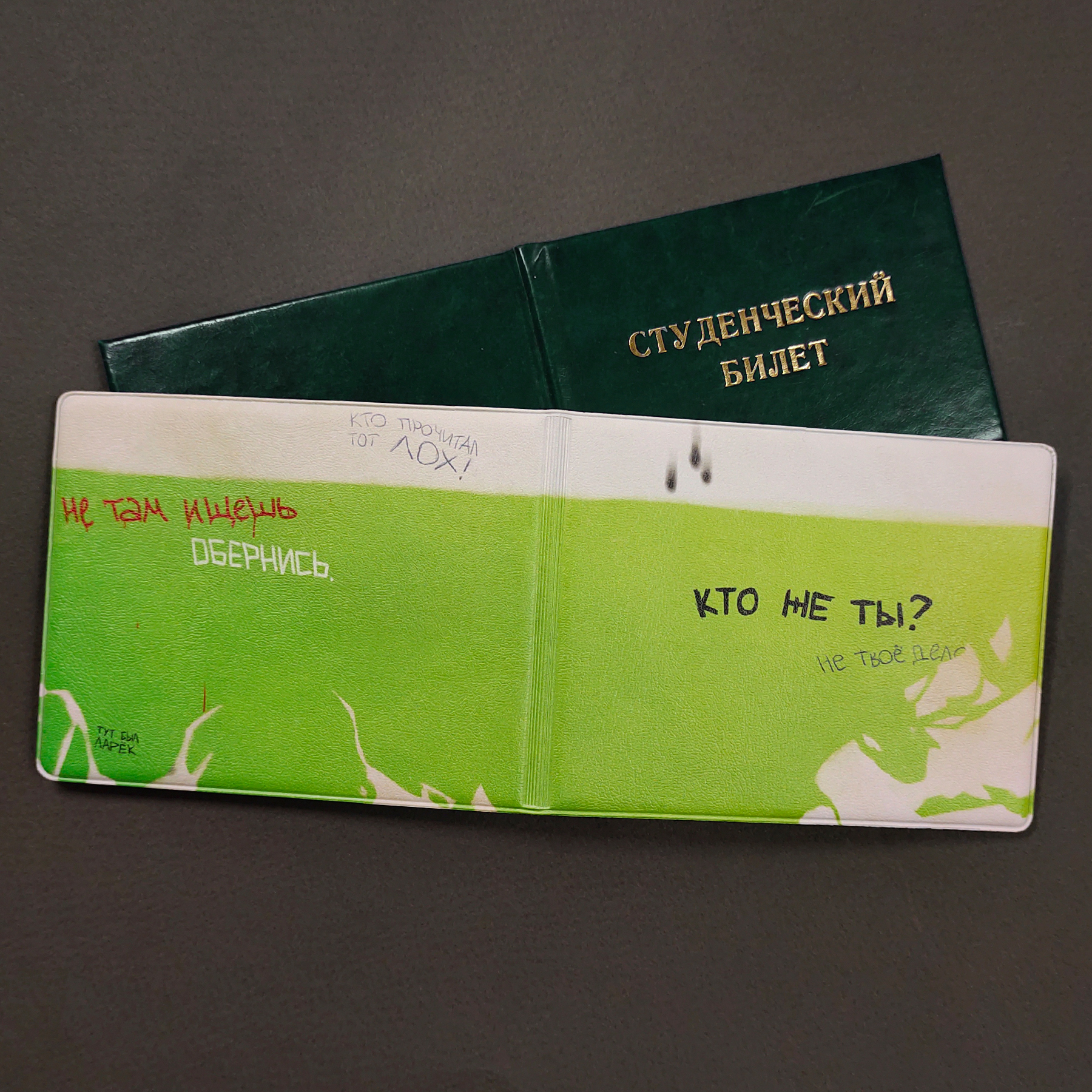 Обложка на студак Падик