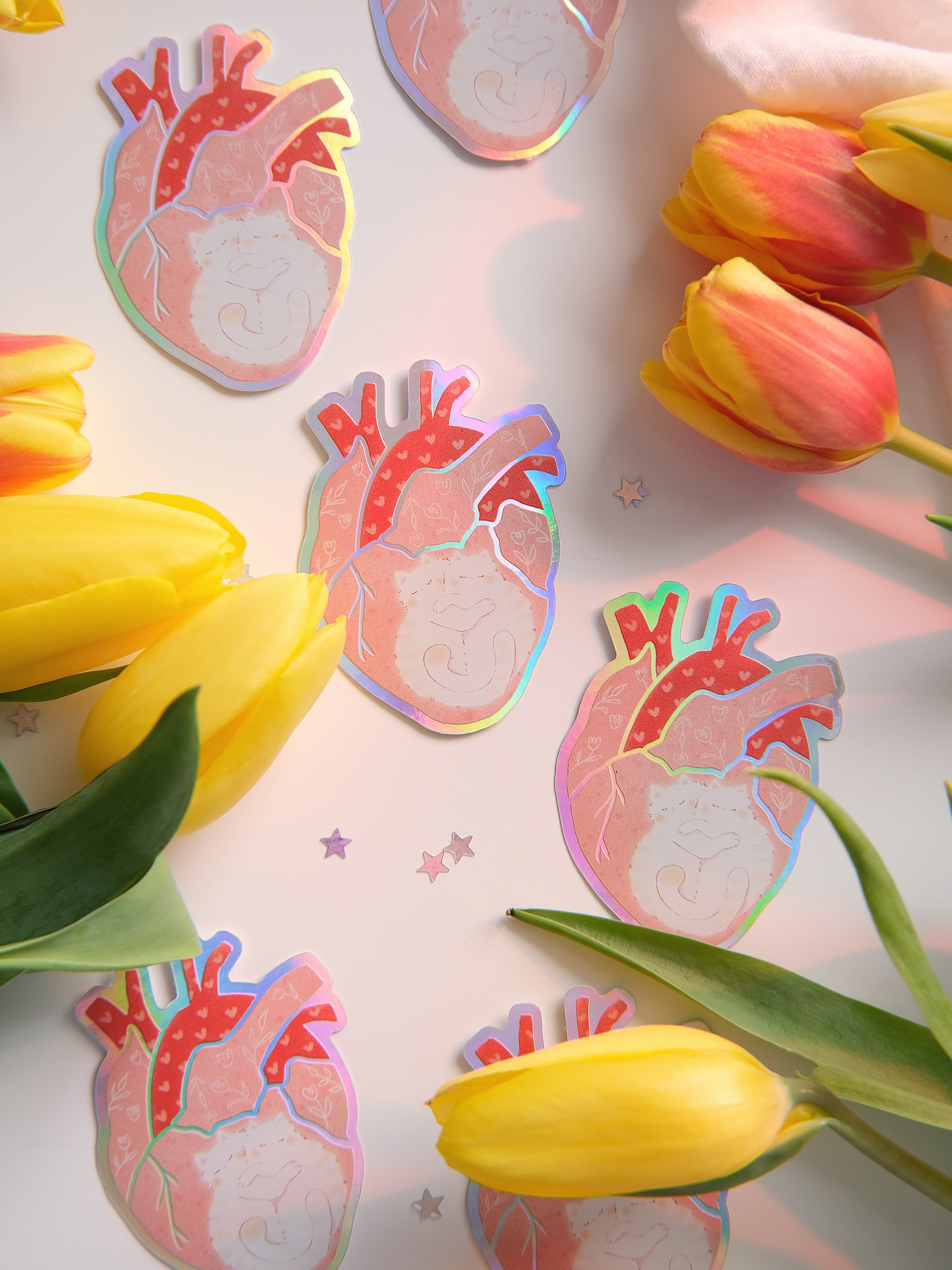 Соло-стикер "Котокардиа"