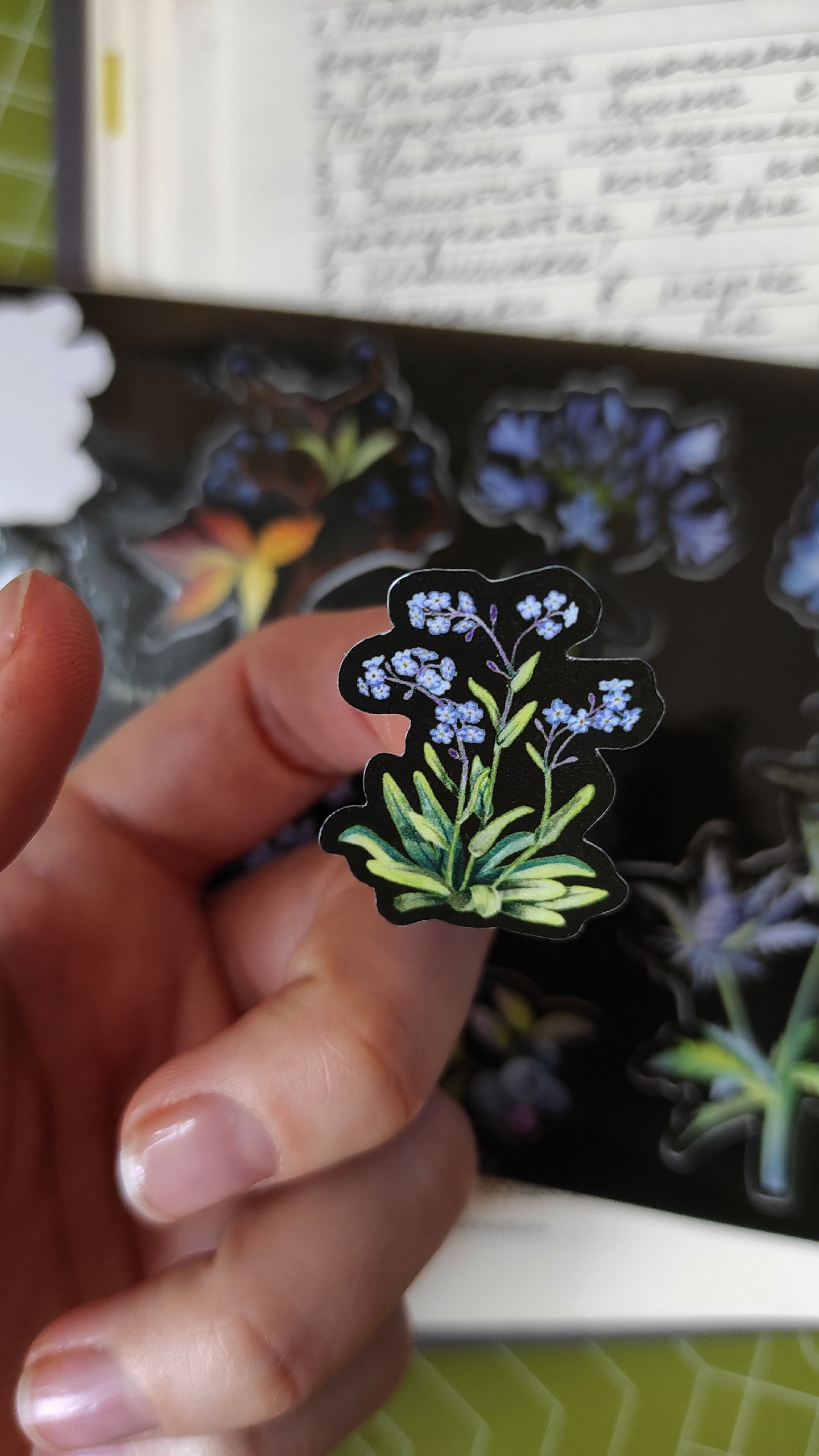 Стикерпак Черные цветы