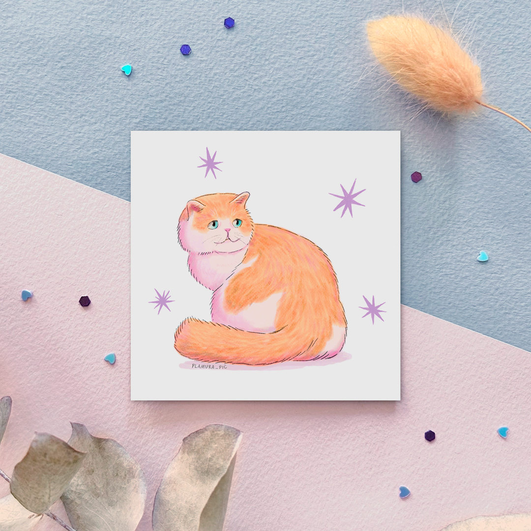 "Котик перс" соло стикер