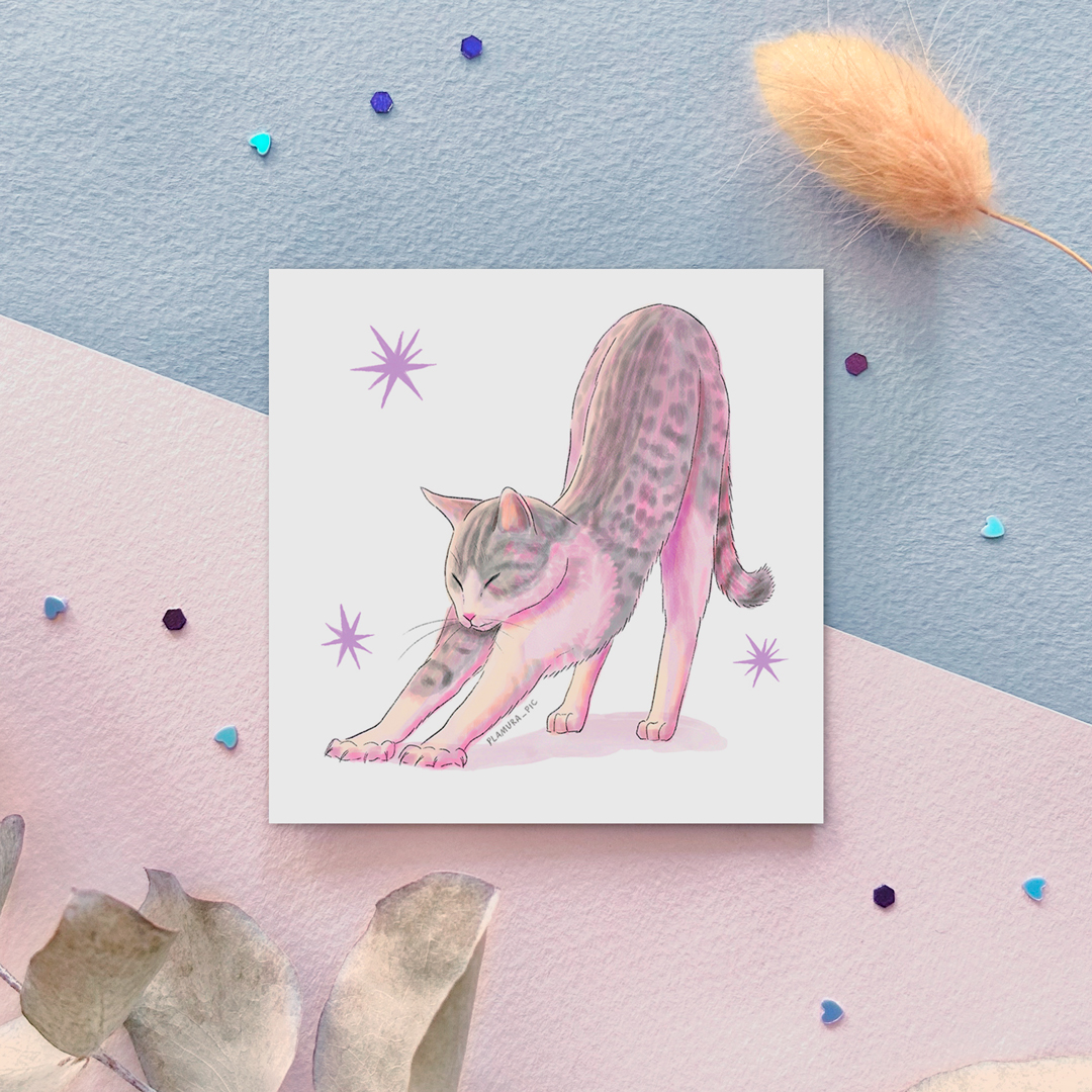 "Котик серый" соло стикер