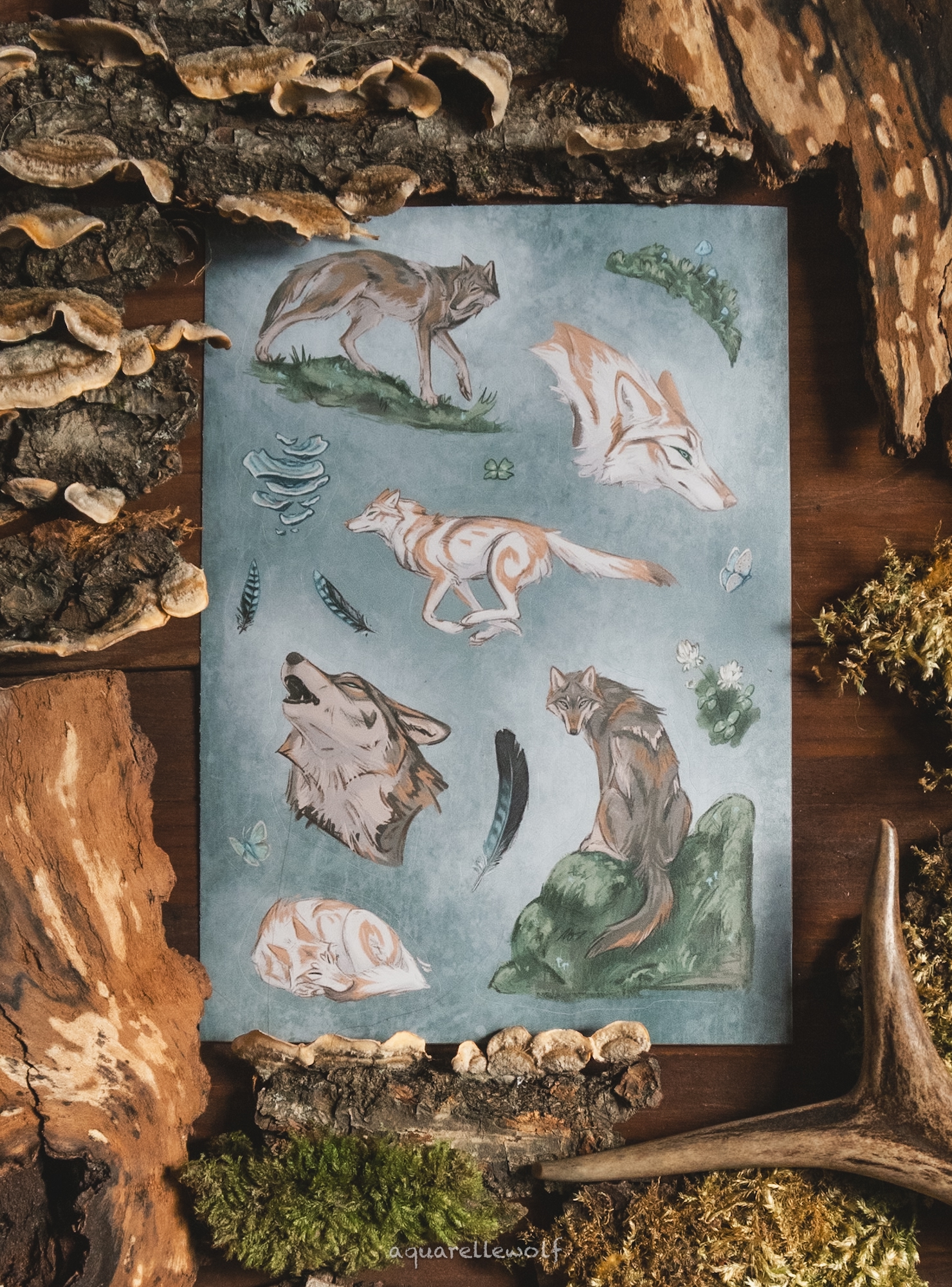 Стикерпак А6 “Стая”