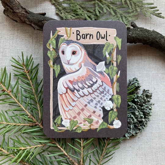 Карточка "Сипуха"