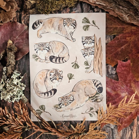 Стикерпак А6 "Манулы"