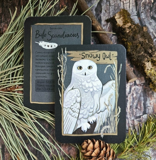 Карточка "Полярная сова"