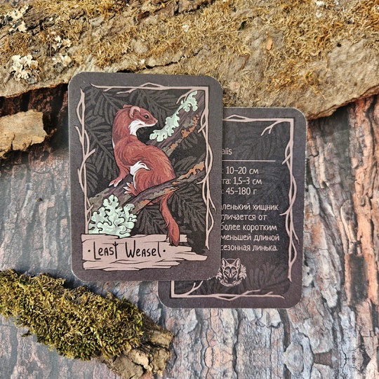 Карточка "Ласка"