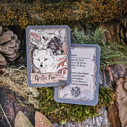 Карточка "Песец"