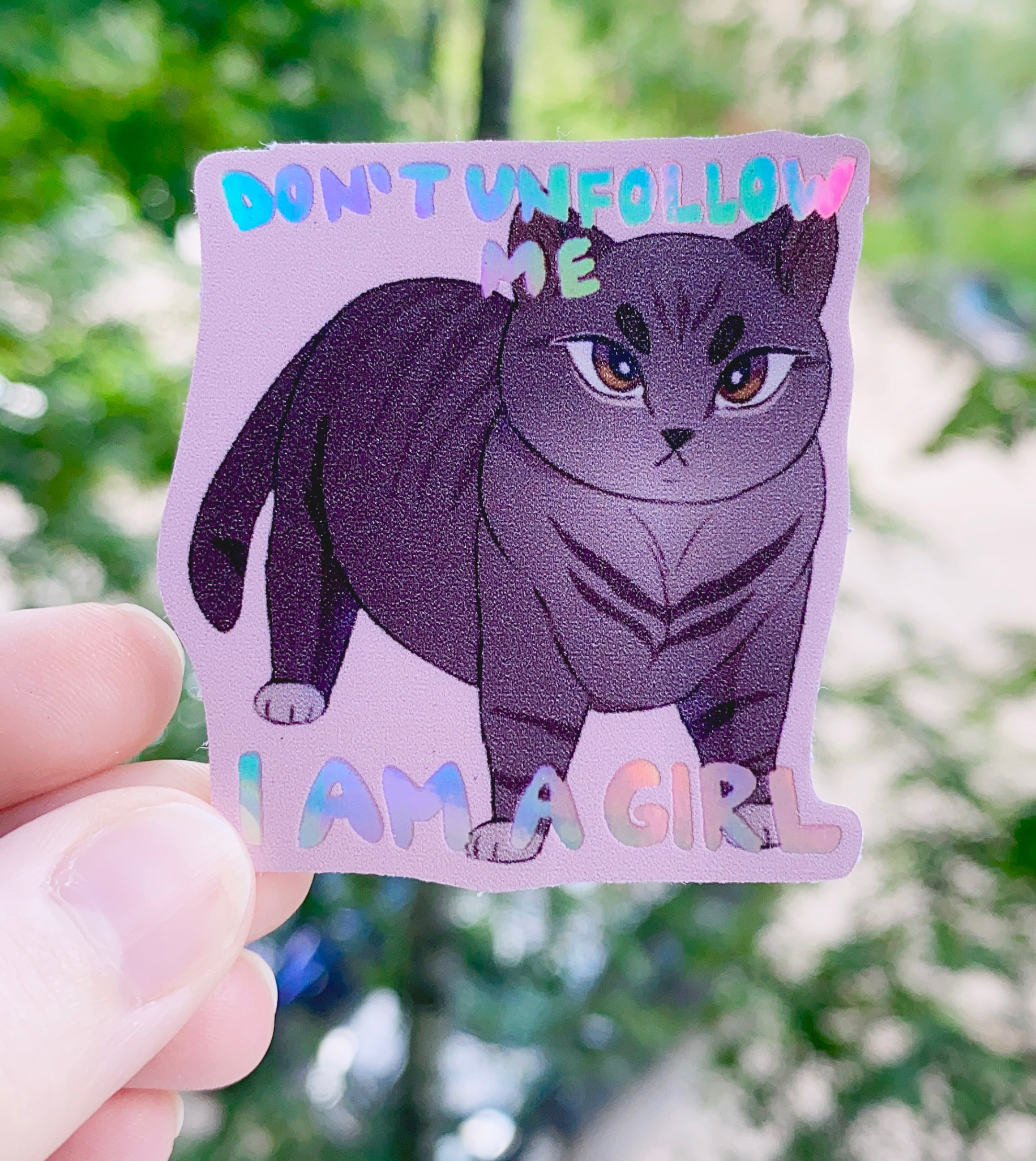 Голо стикер котёнок