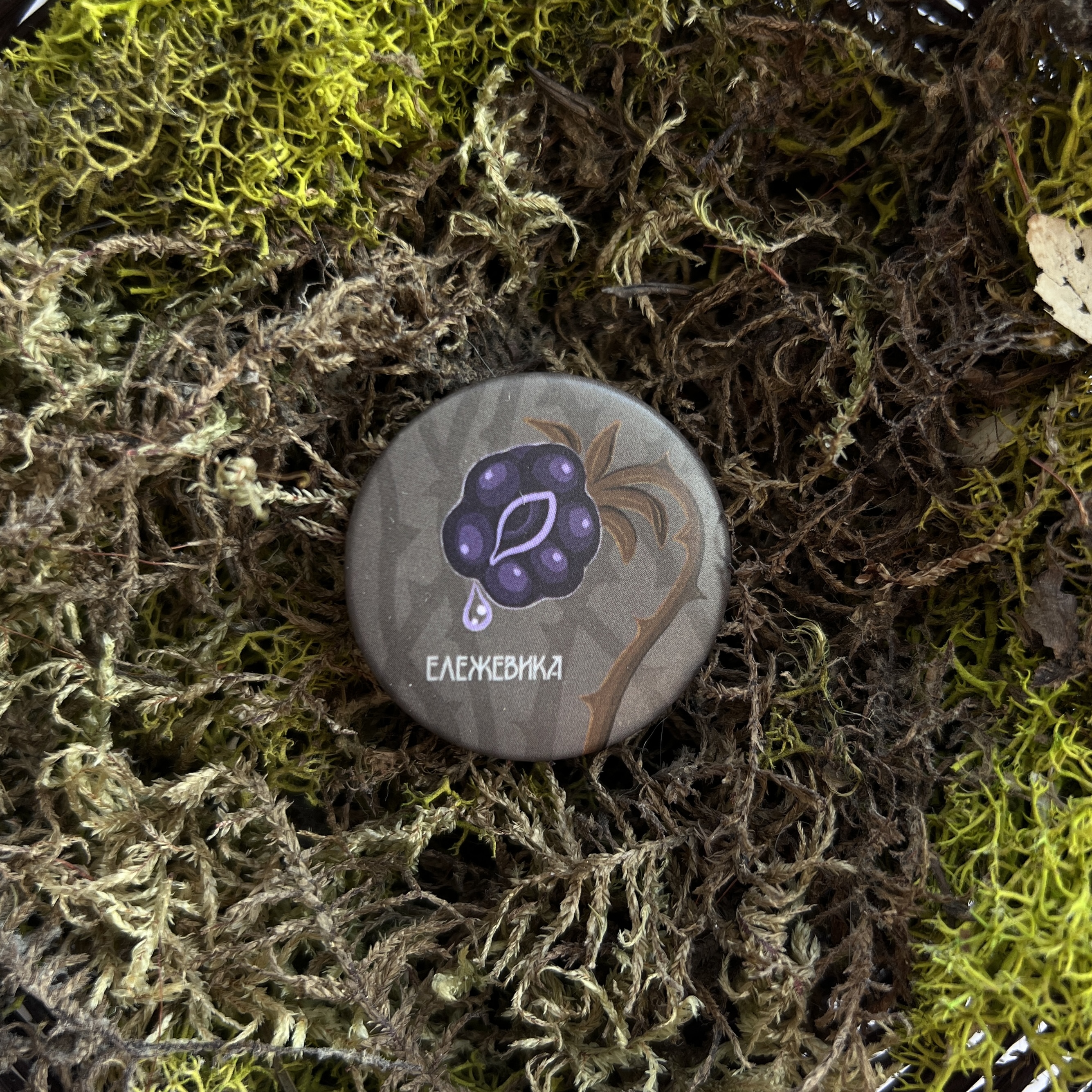 Значок ележивика