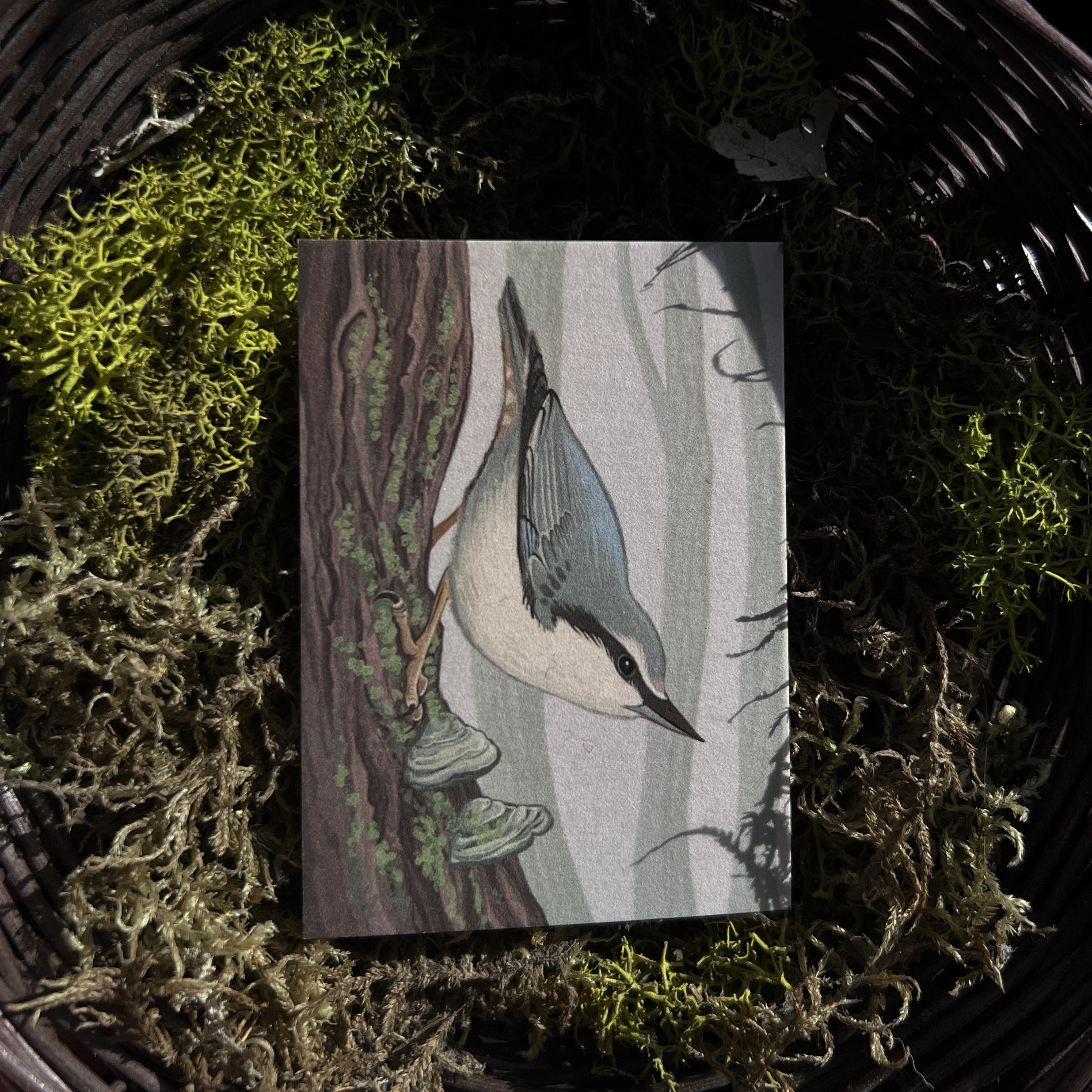 Коллекционная карточка "птица"