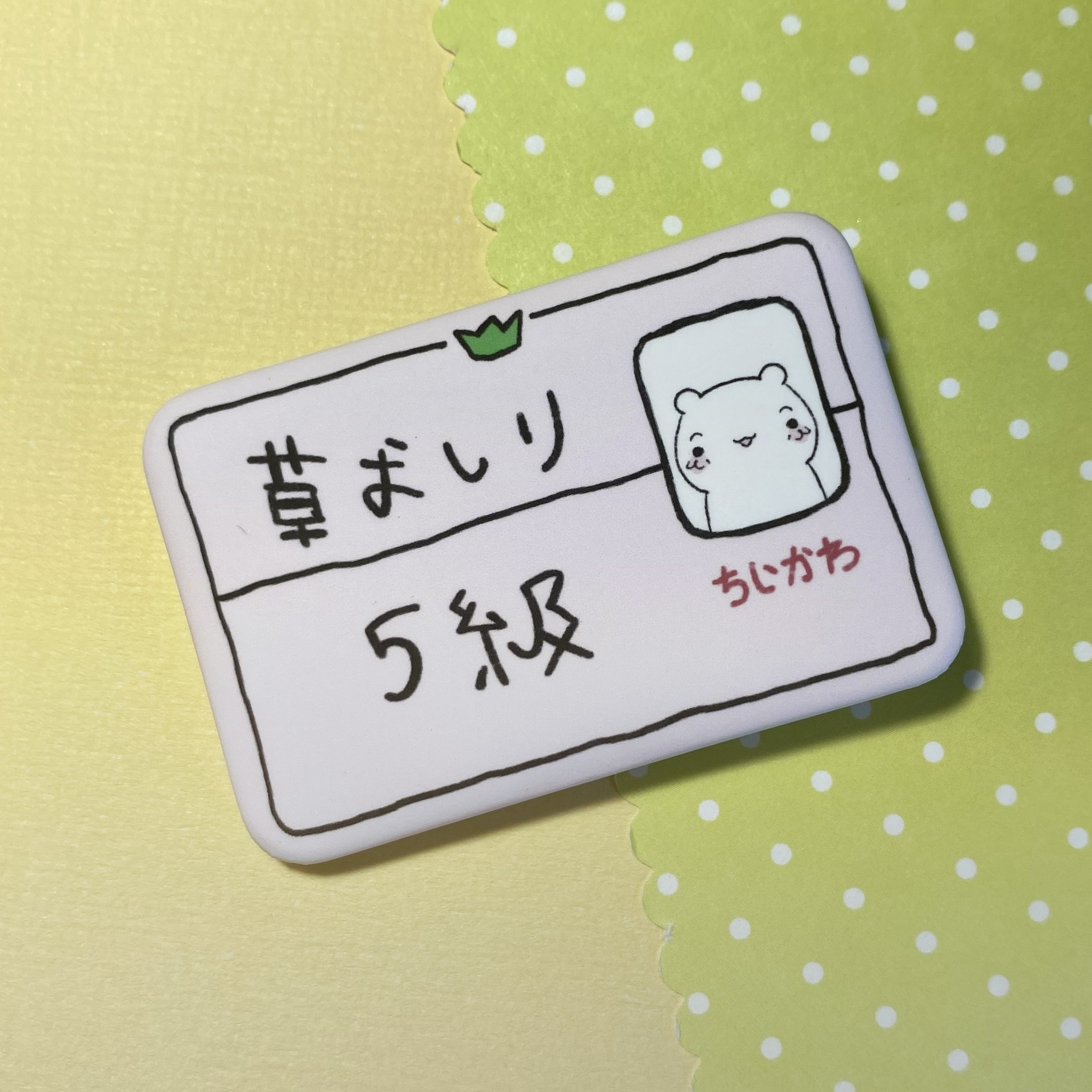 Значок-удостоверение "Чиикава"