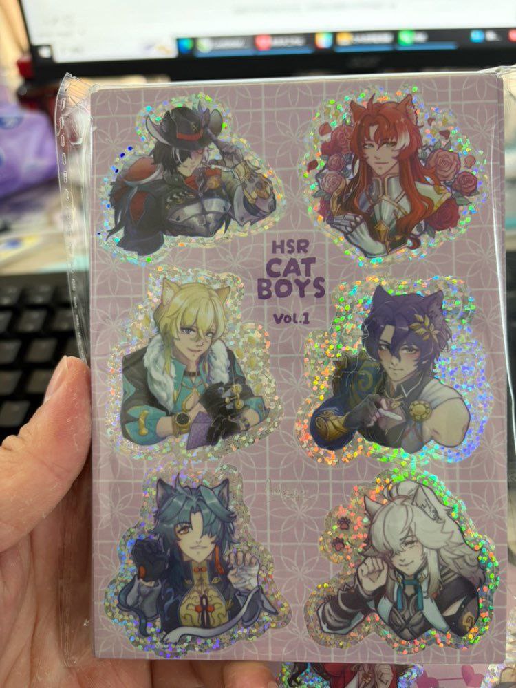 Наклейки винил А6 "HSR Catboys V1"