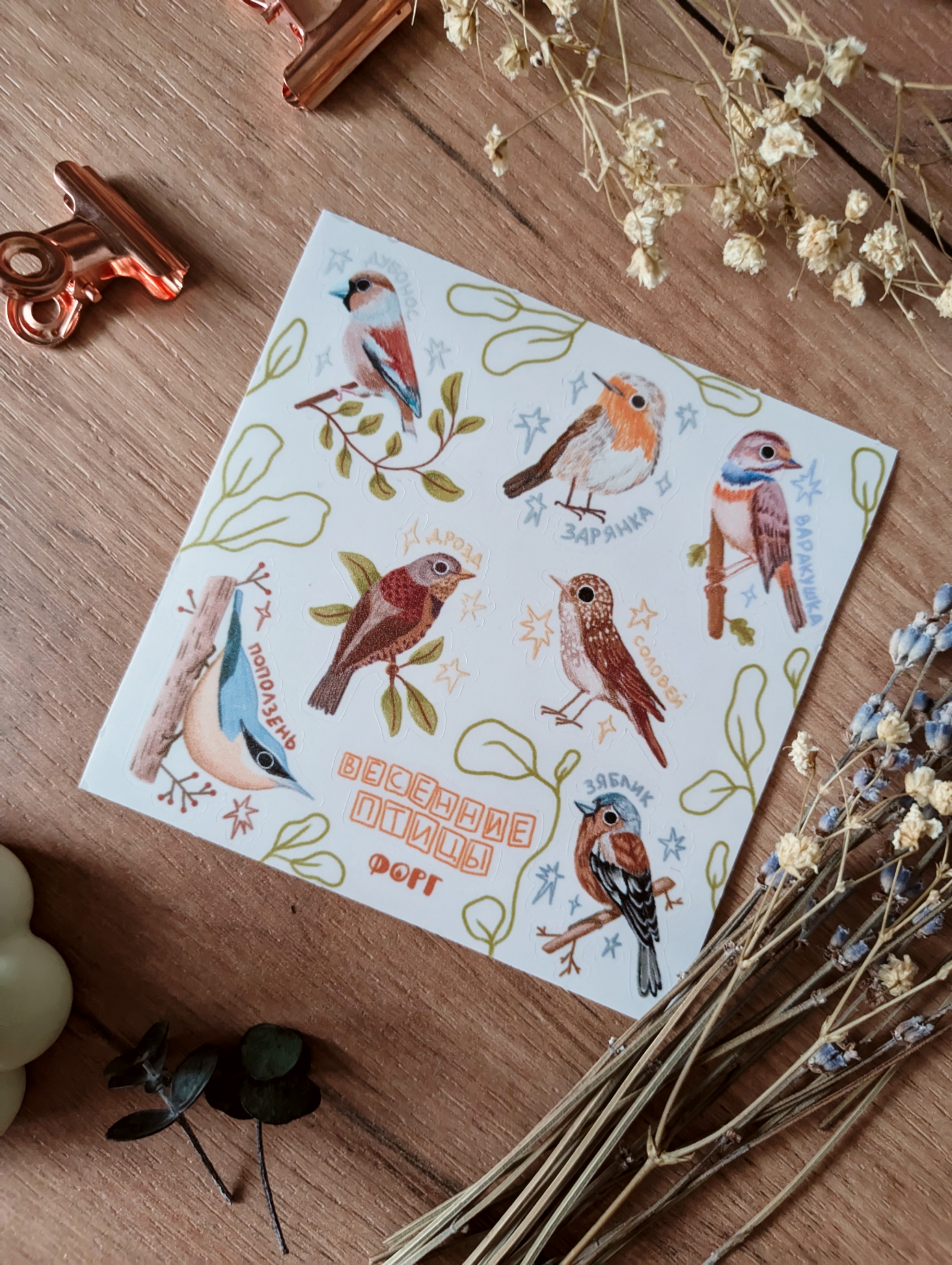Стикерпак “Весенние птицы”. 10*10, прозрачная плёнка