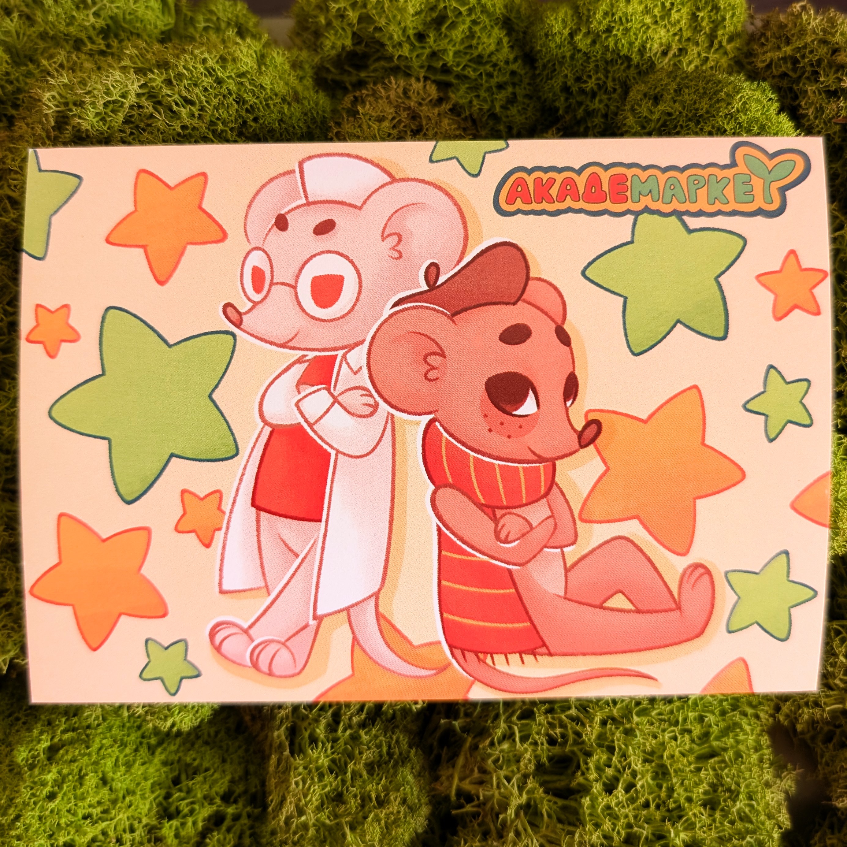 Принт А6 Академаркет 1 Alame