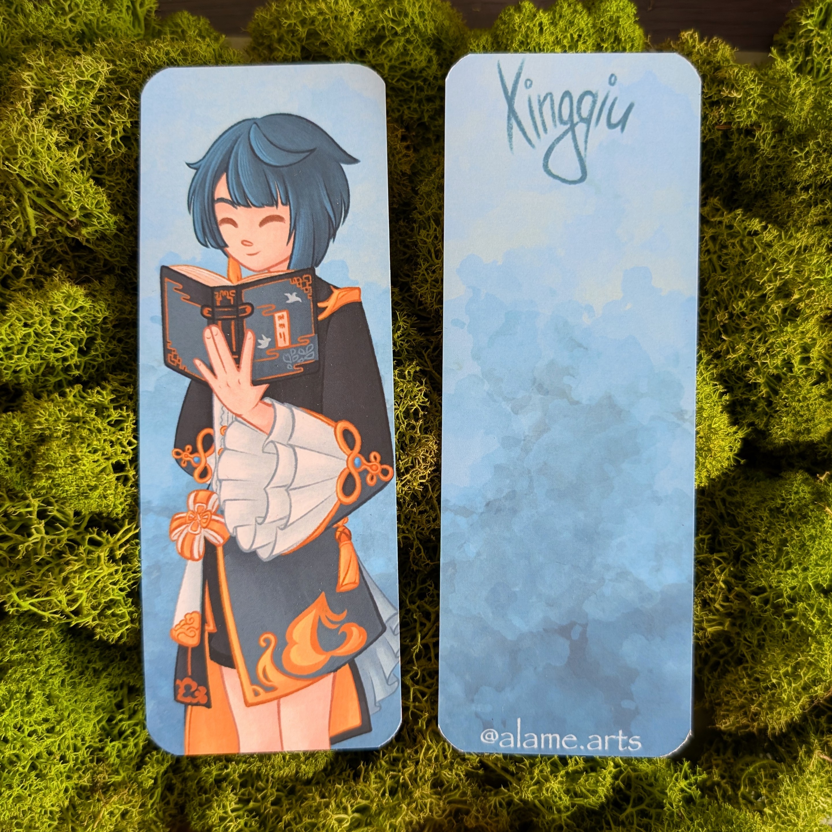 Закладка Синцю