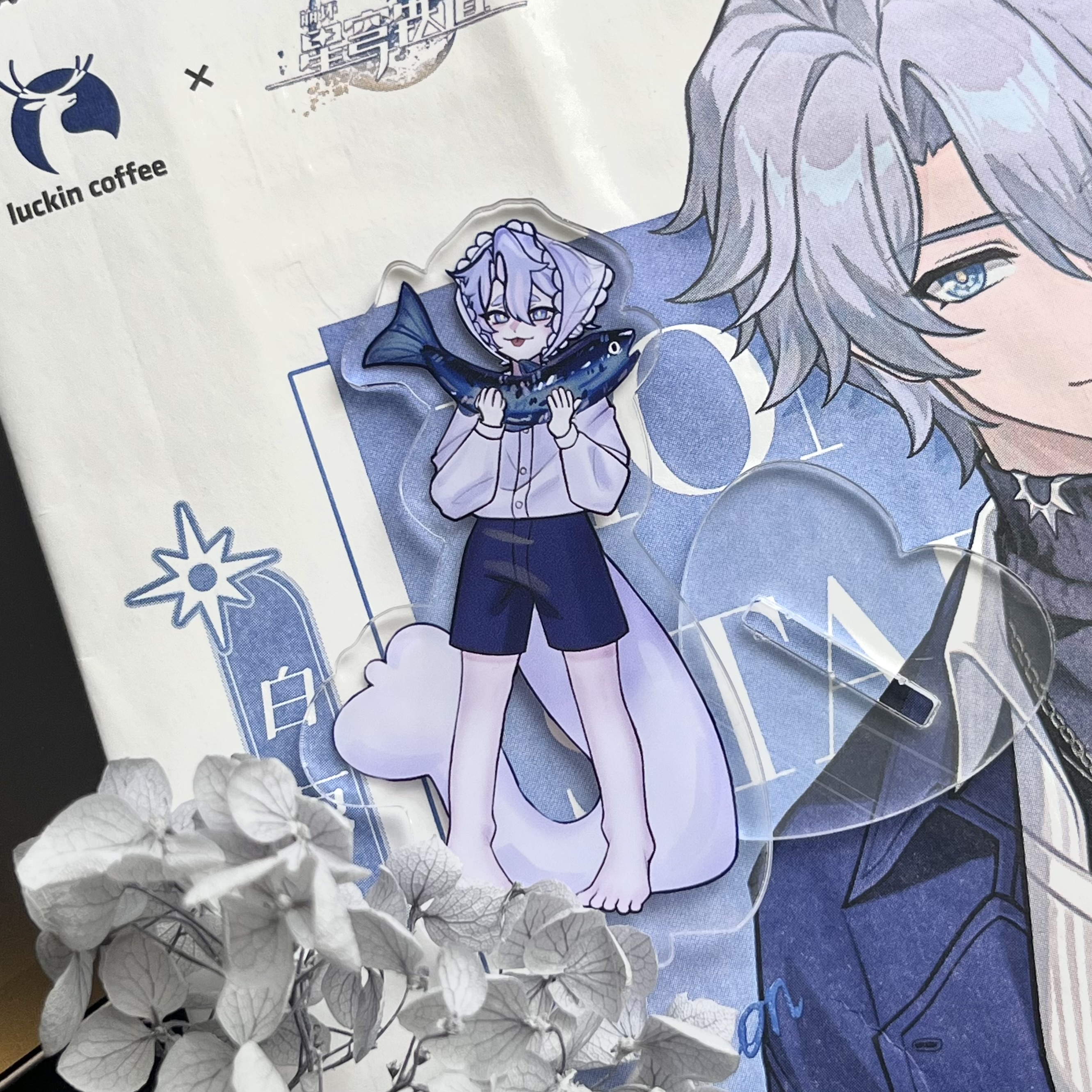 Стенд Фаенон