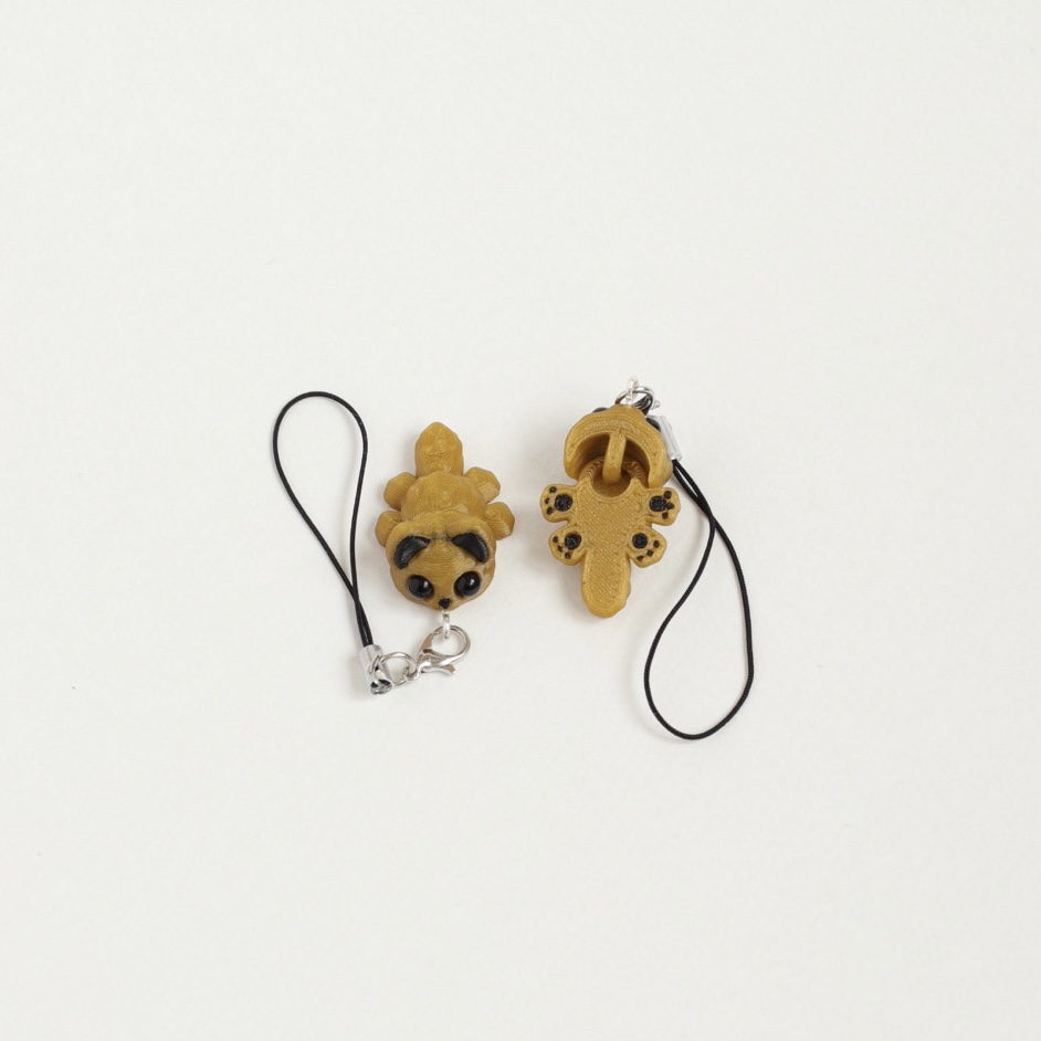 Котик золотой с чёрными ушками