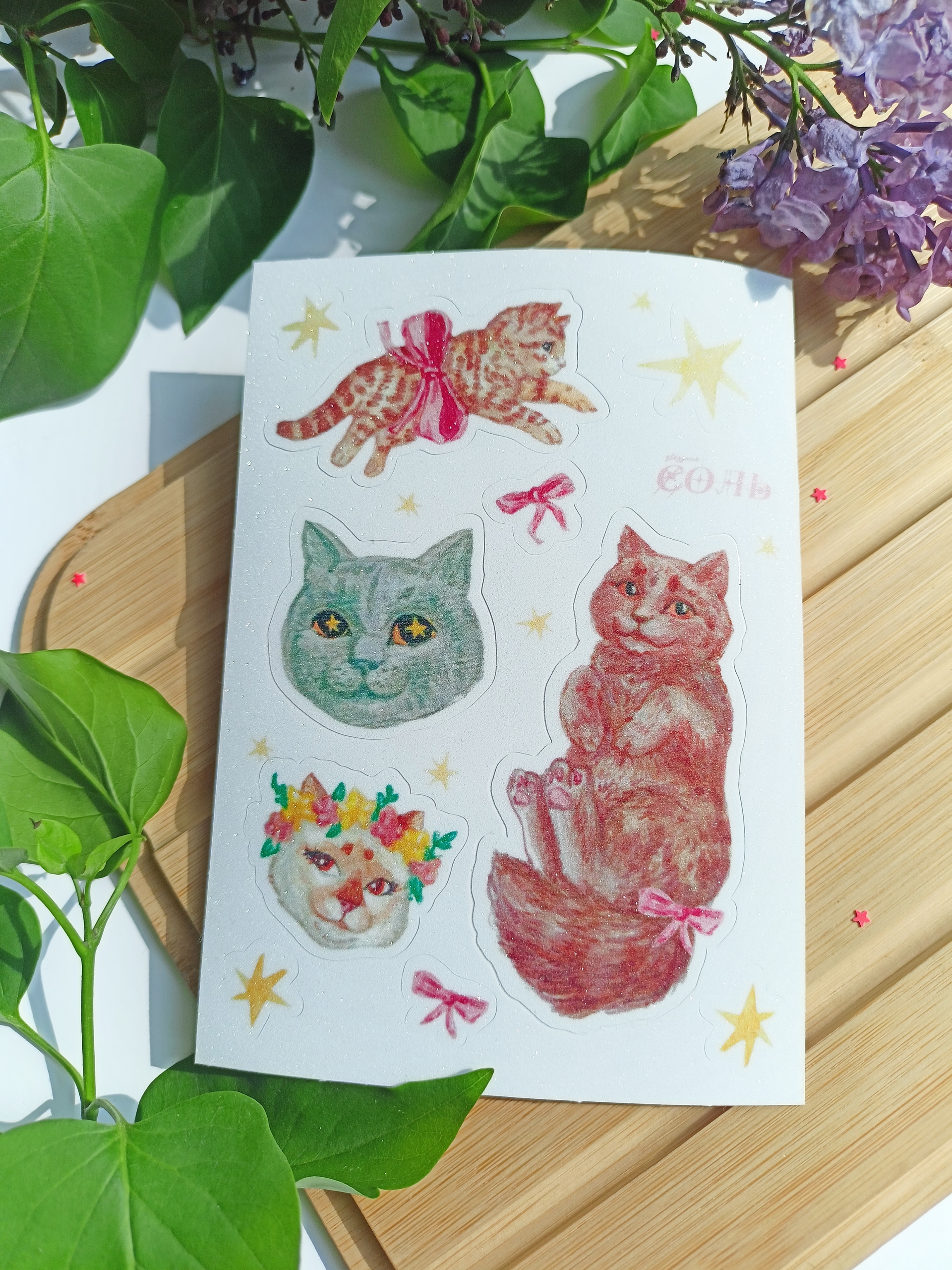 Стикерпак А6 звёздные коты сахар