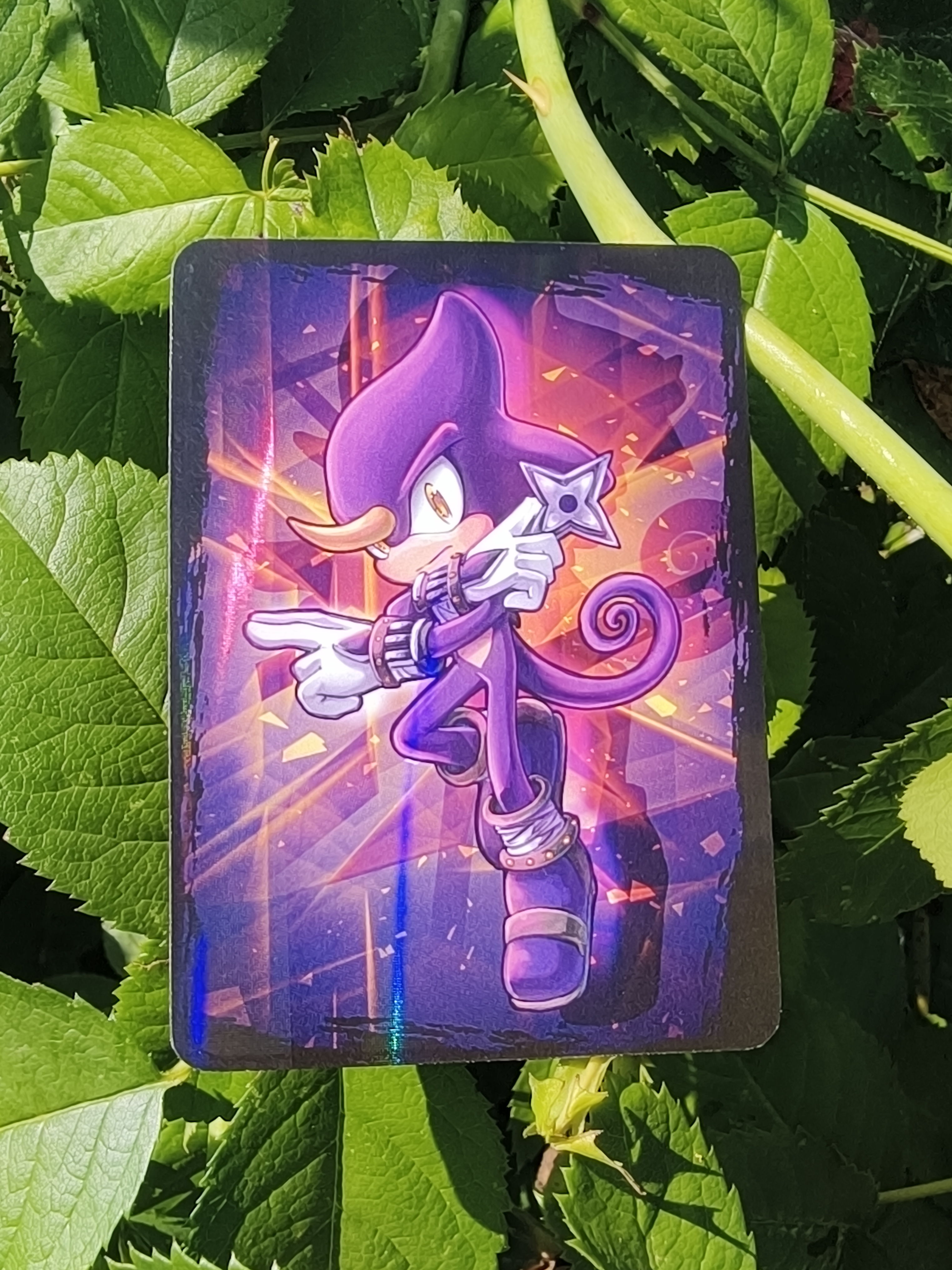 Карточка "Герои Соника"/Sonic Heroes Эспио