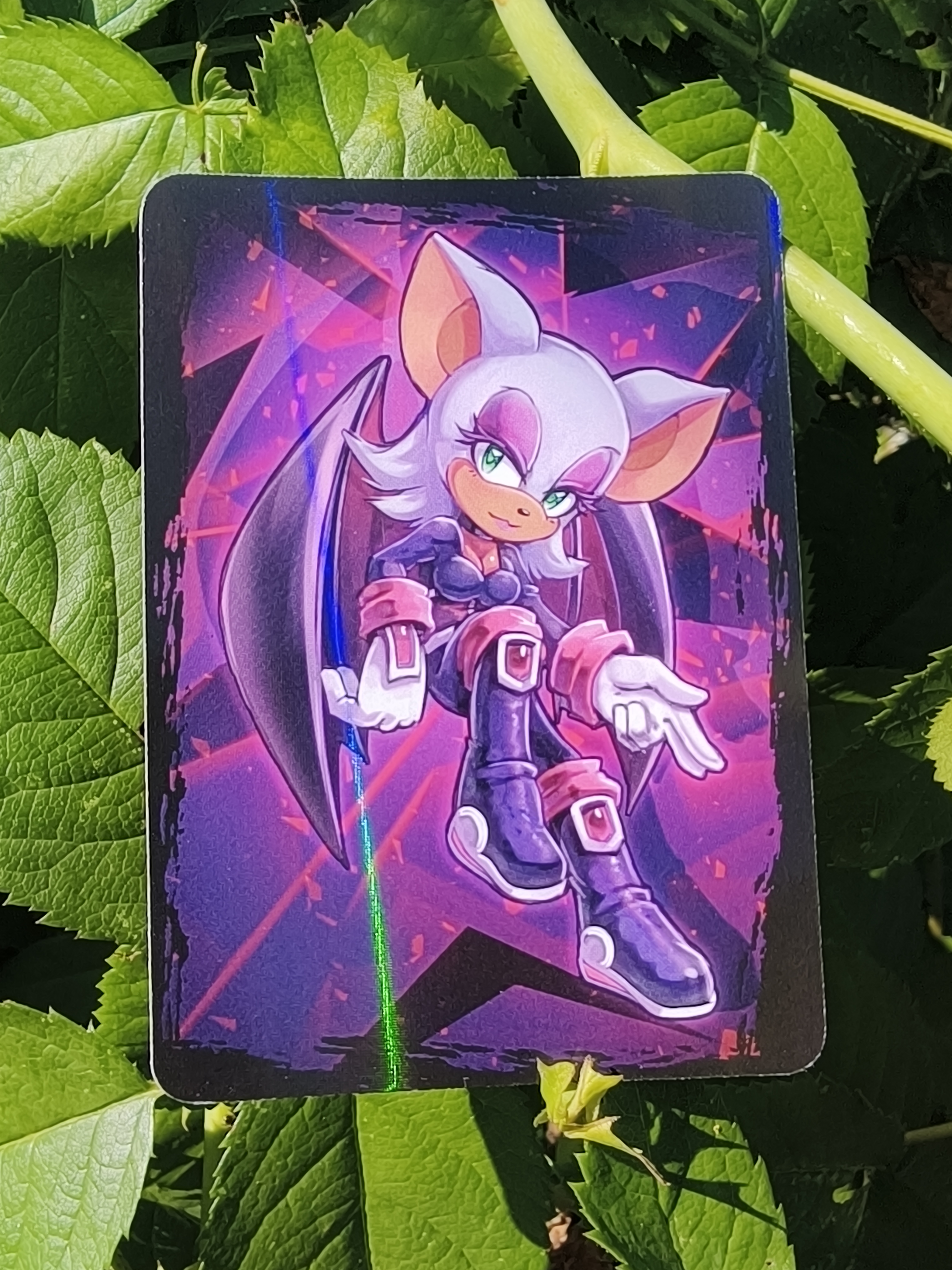 Карточка "Герои Соника"/Sonic Heroes Руж