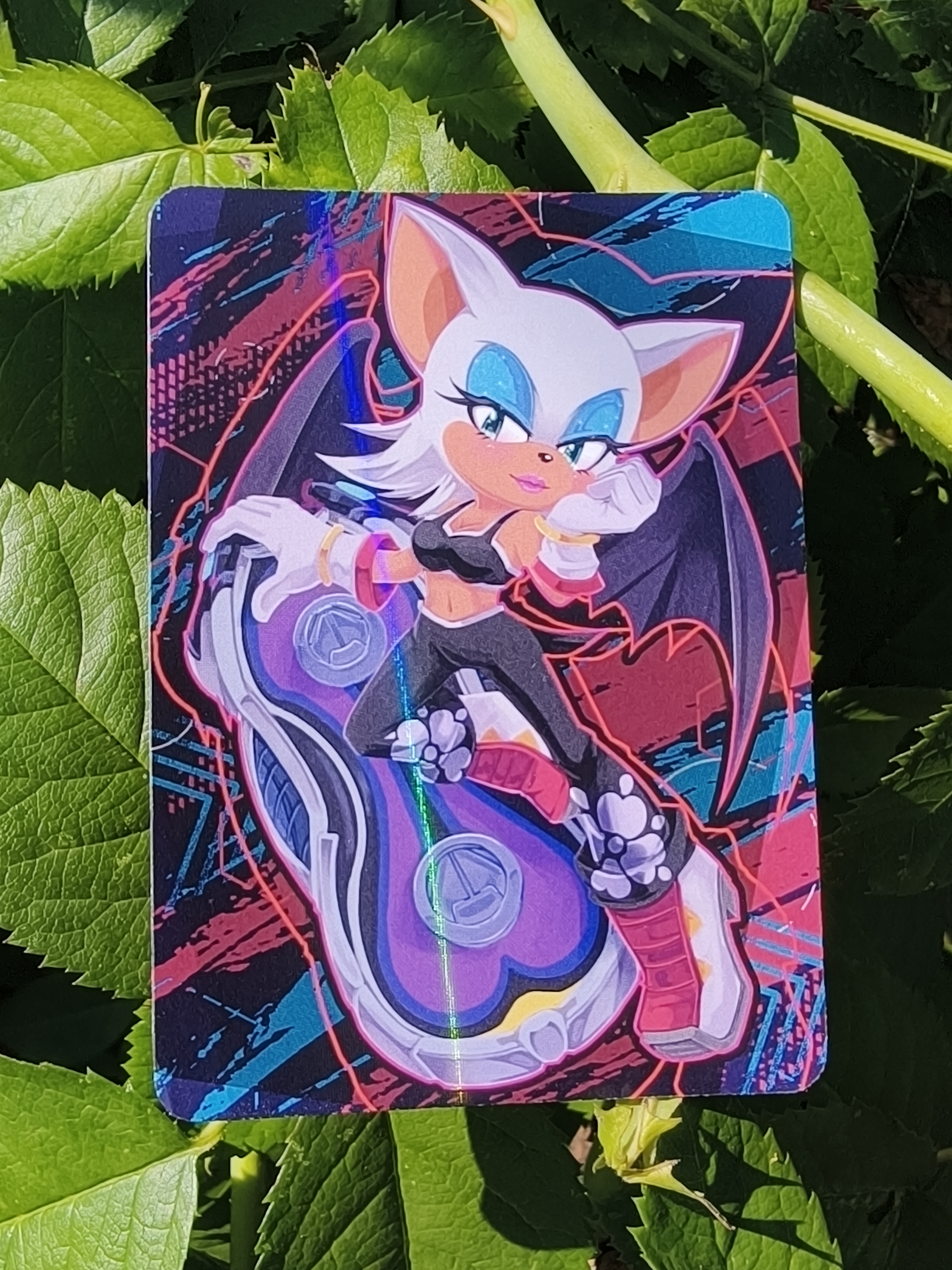 Карточка "Гонщики Соника"/Sonic Riders Руж